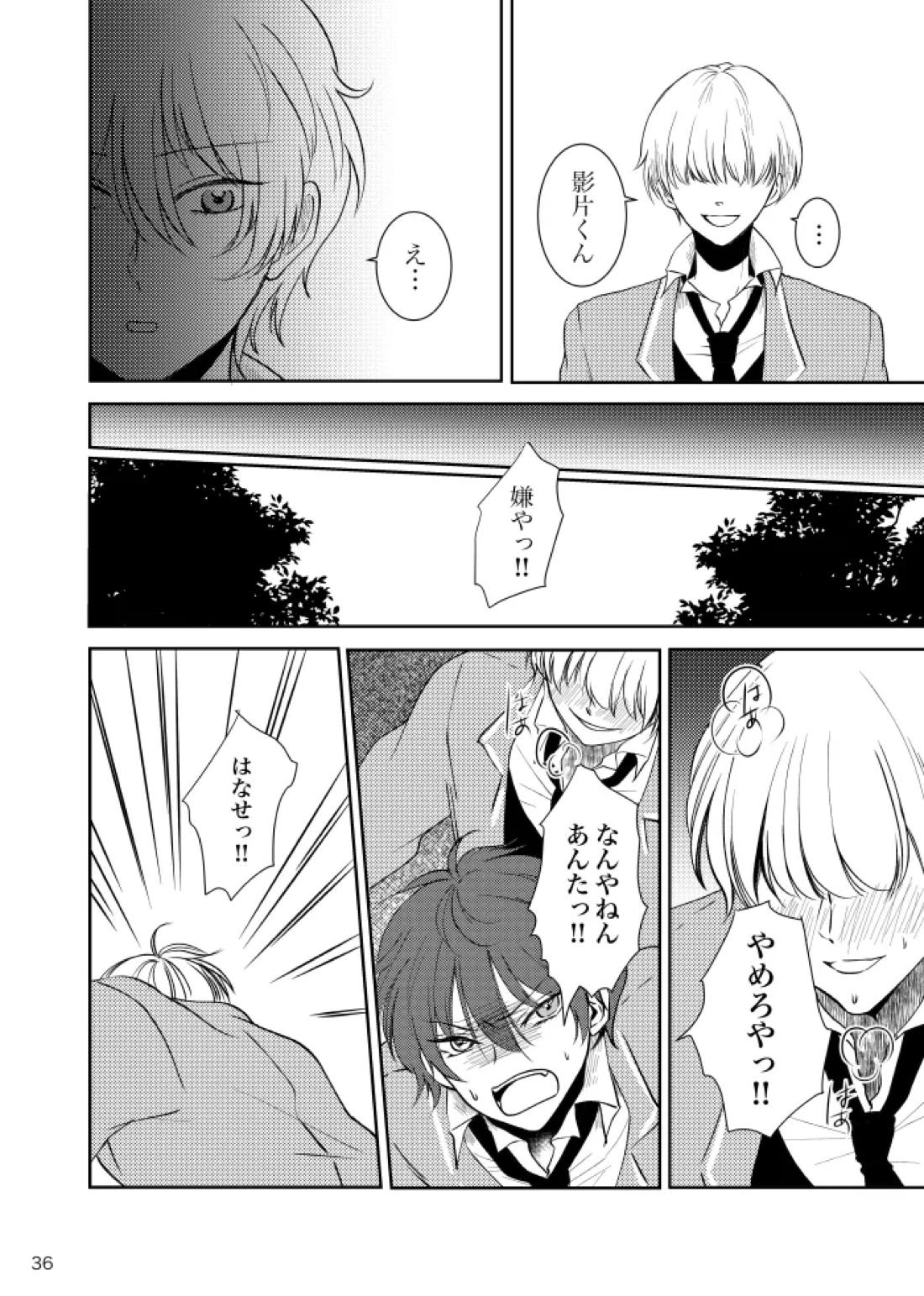 ノルニルは空を舞う【あんさんぶるスターズ!/宗みか】 page 35