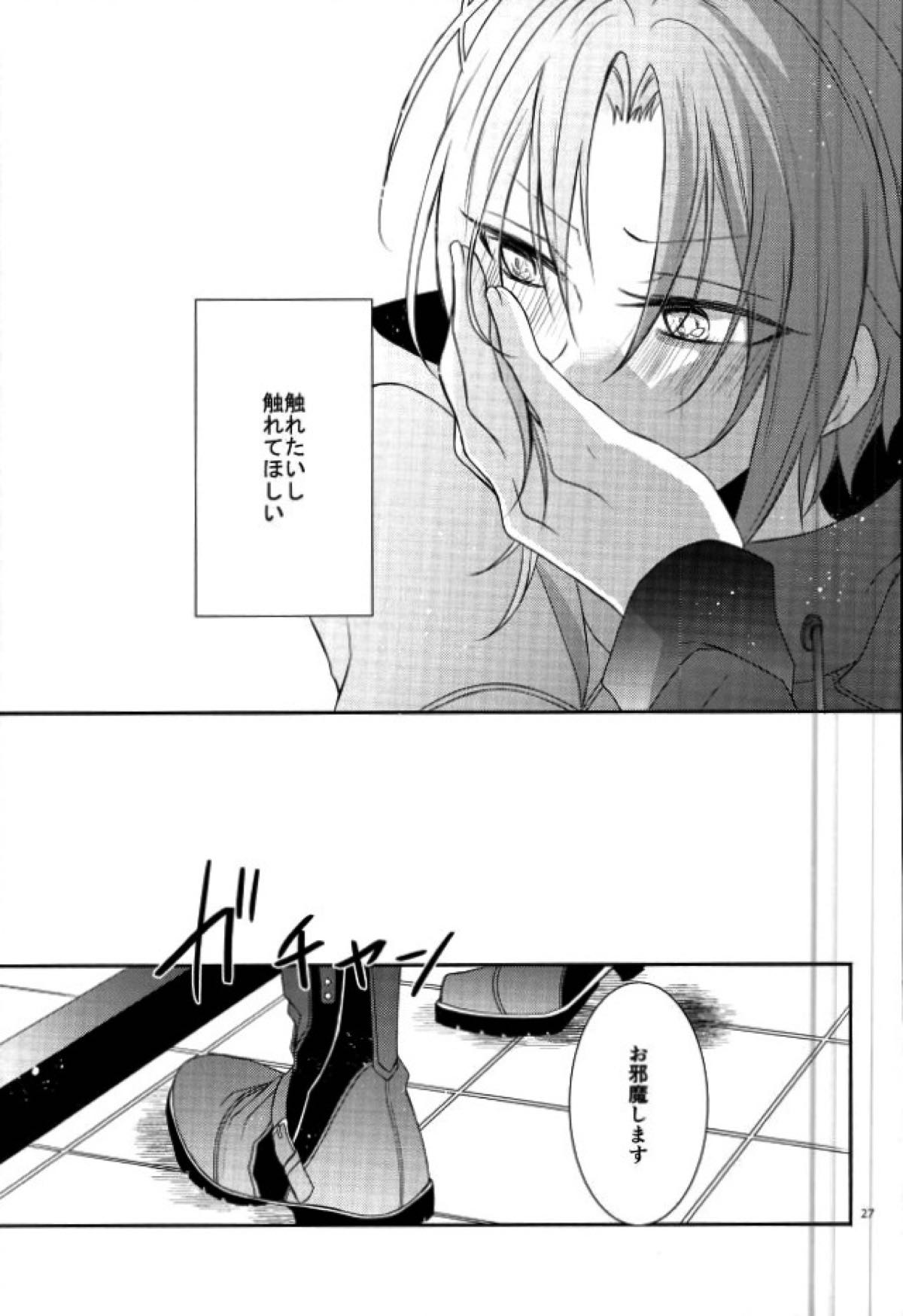 End an Interlude【あんさんぶるスターズ!/レオ司】 page 24