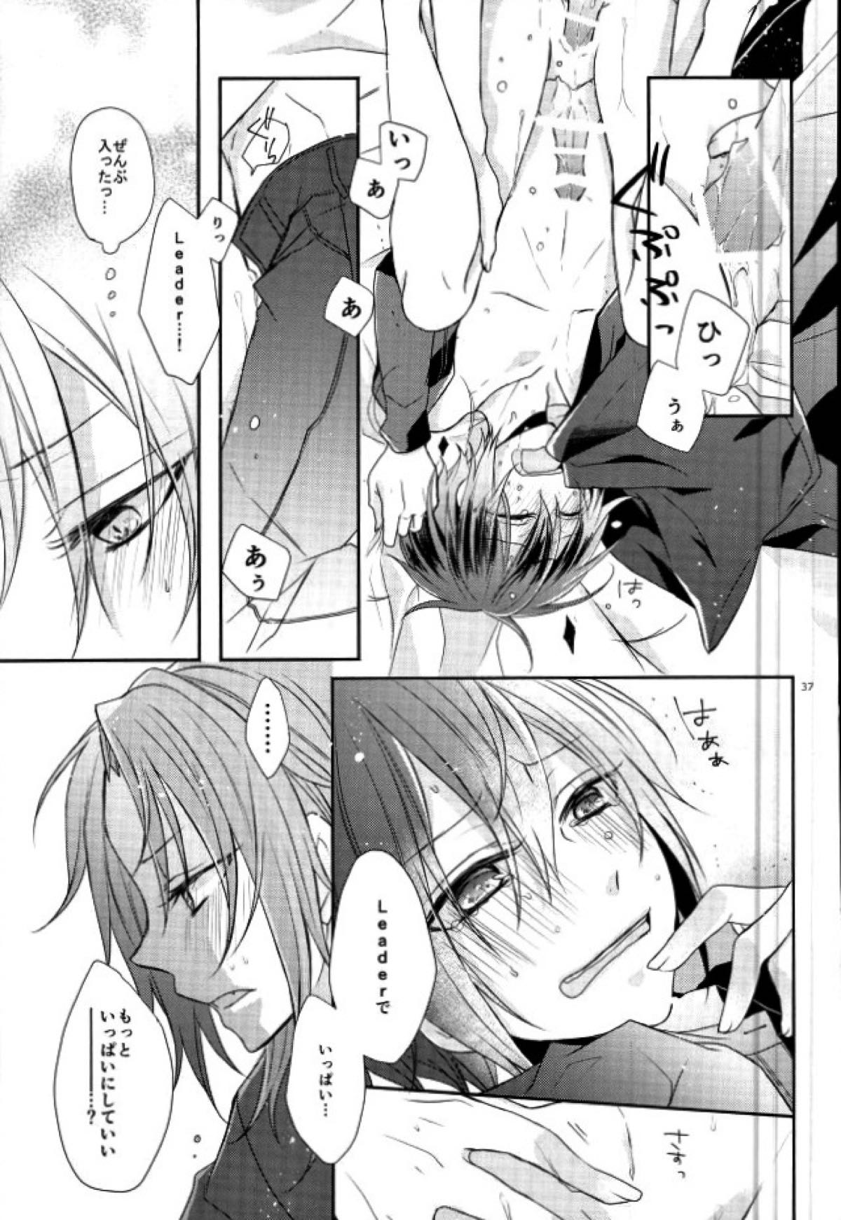 End an Interlude【あんさんぶるスターズ!/レオ司】 page 34