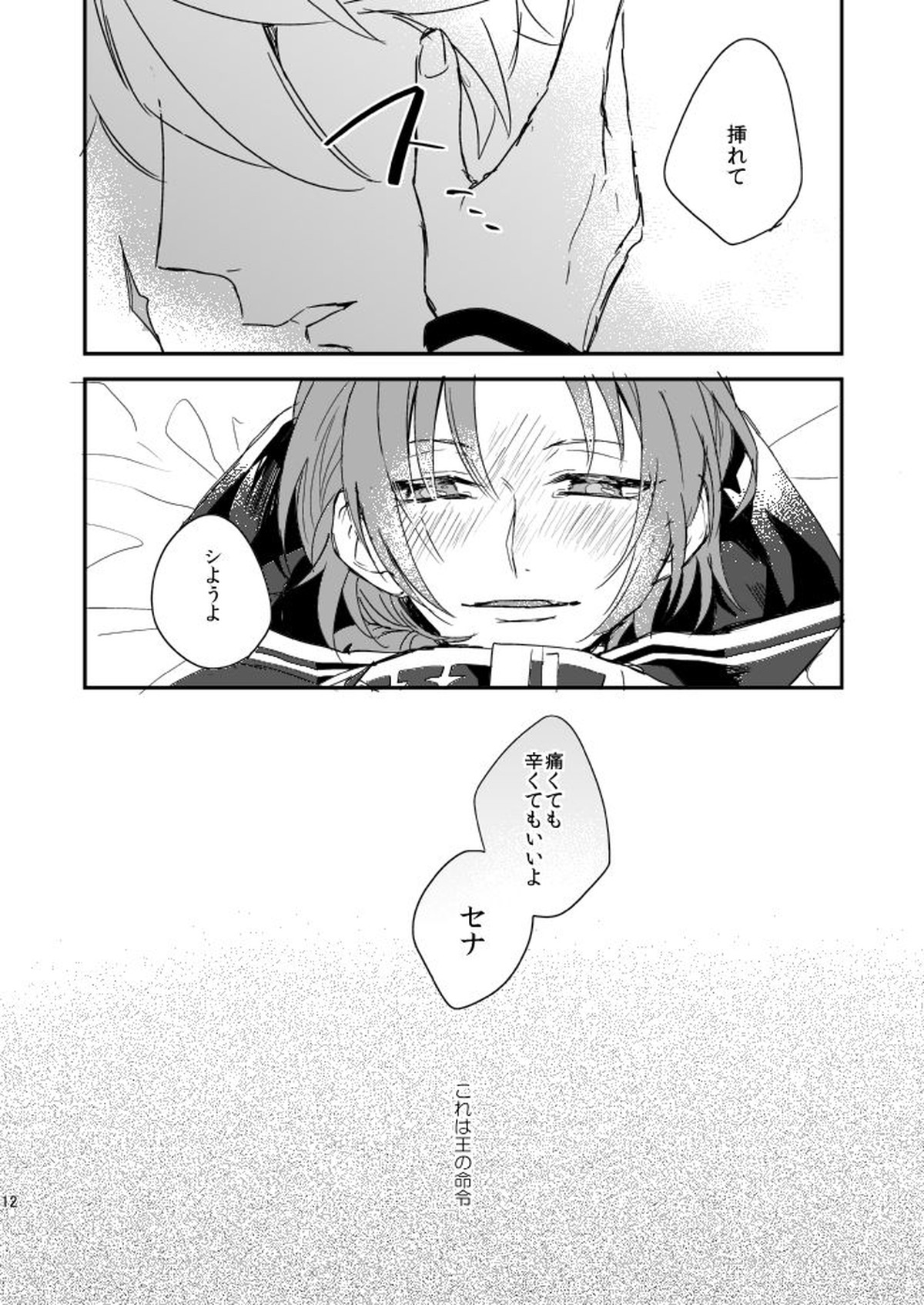 汚れないでね、ラブ【あんさんぶるスターズ!/泉×レオ】 page 12