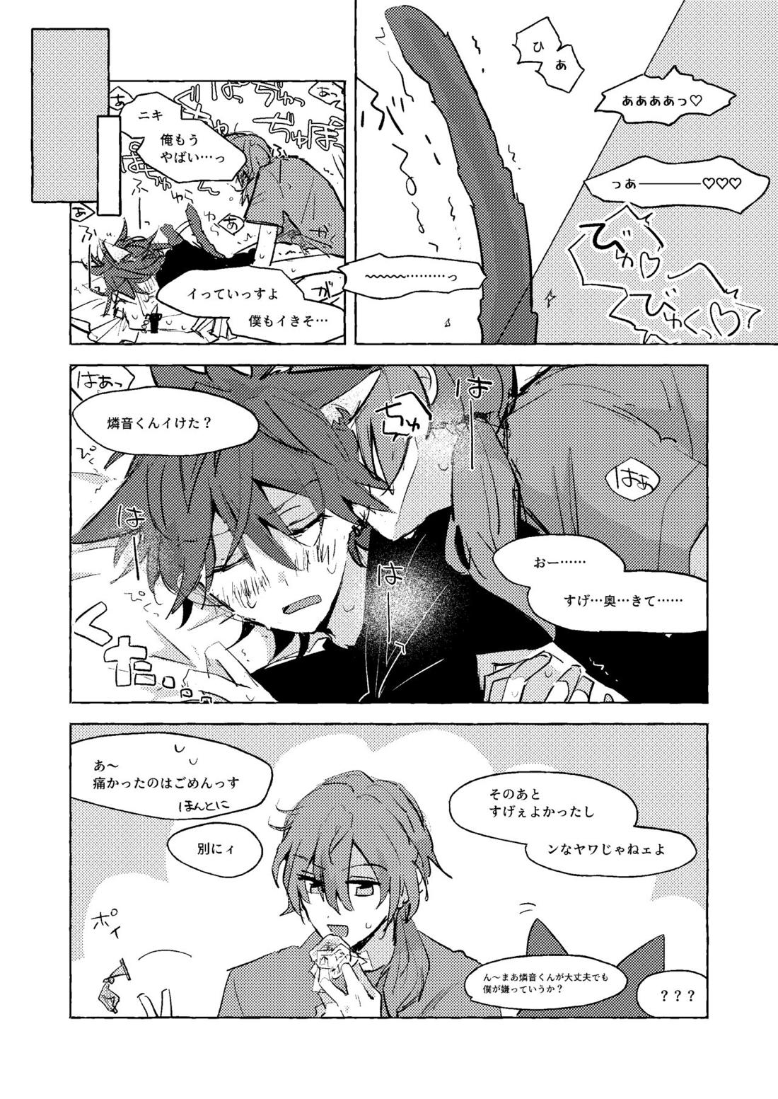 ねこ本【あんさんぶるスターズ!/ニキ燐】 page 13