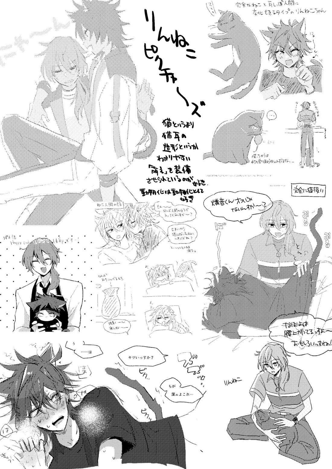 ねこ本【あんさんぶるスターズ!/ニキ燐】 page 17