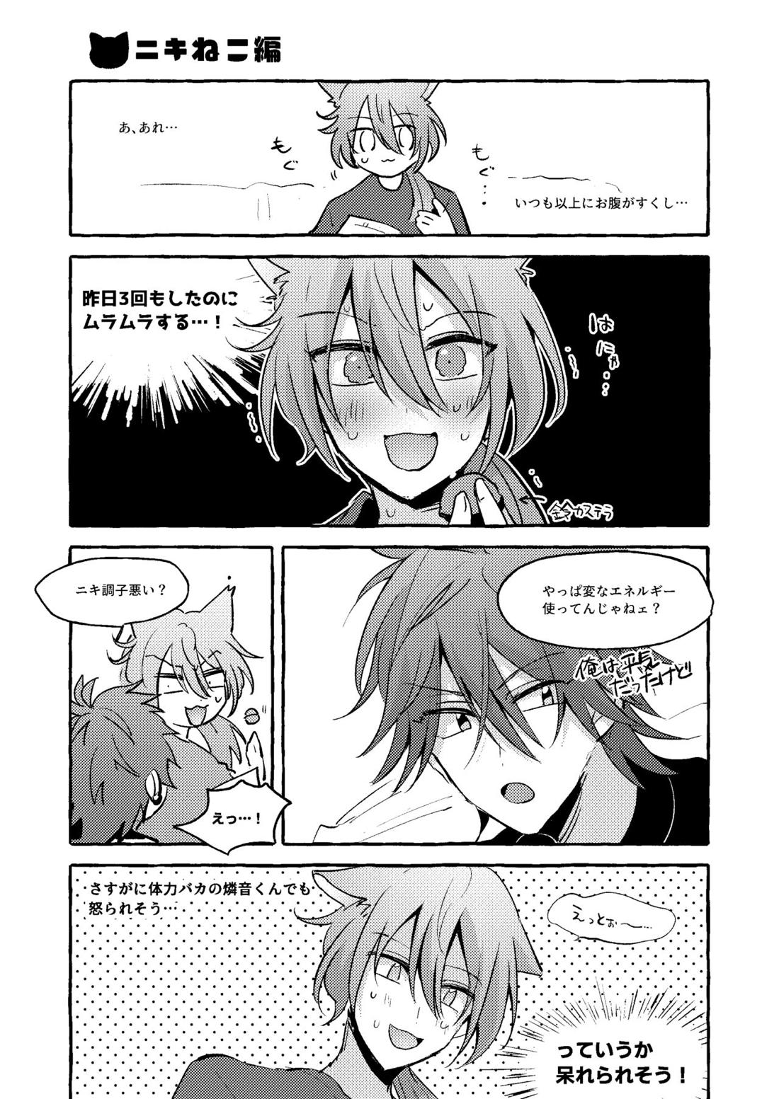 ねこ本【あんさんぶるスターズ!/ニキ燐】 page 18