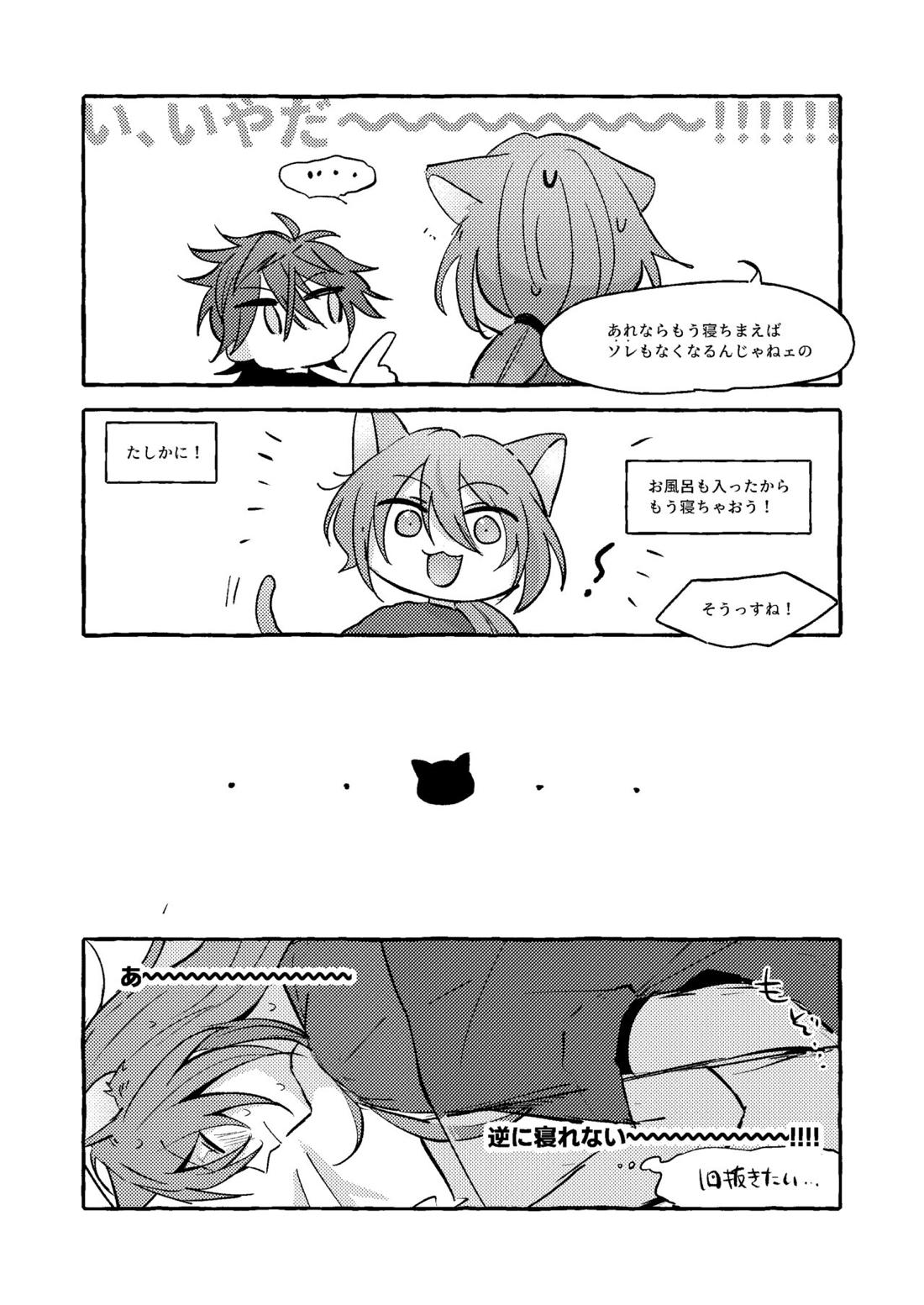 ねこ本【あんさんぶるスターズ!/ニキ燐】 page 19