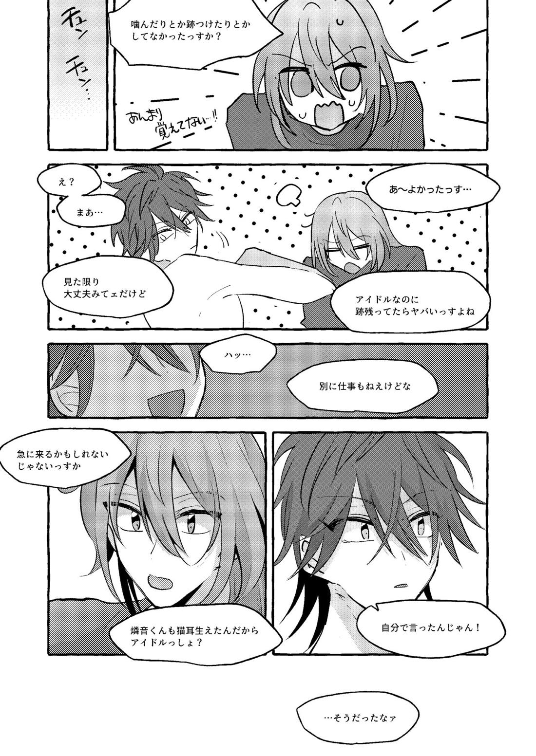 ねこ本【あんさんぶるスターズ!/ニキ燐】 page 26