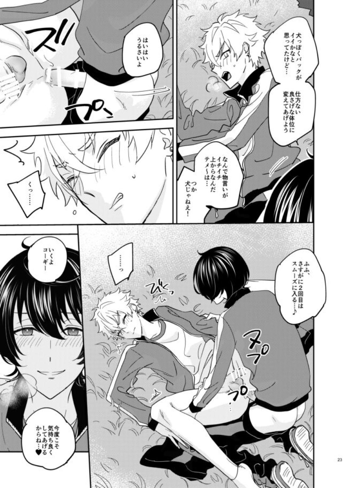 欲の塊【あんさんぶるスターズ!/燐晃】 page 22