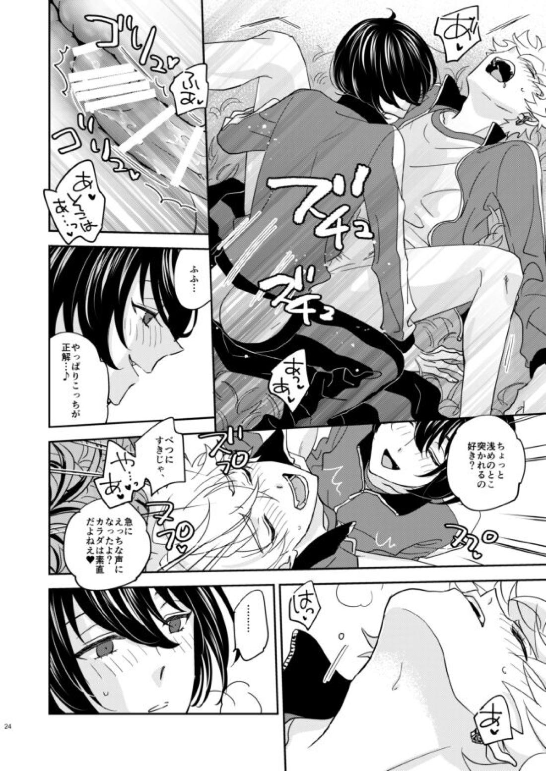 欲の塊【あんさんぶるスターズ!/燐晃】 page 23