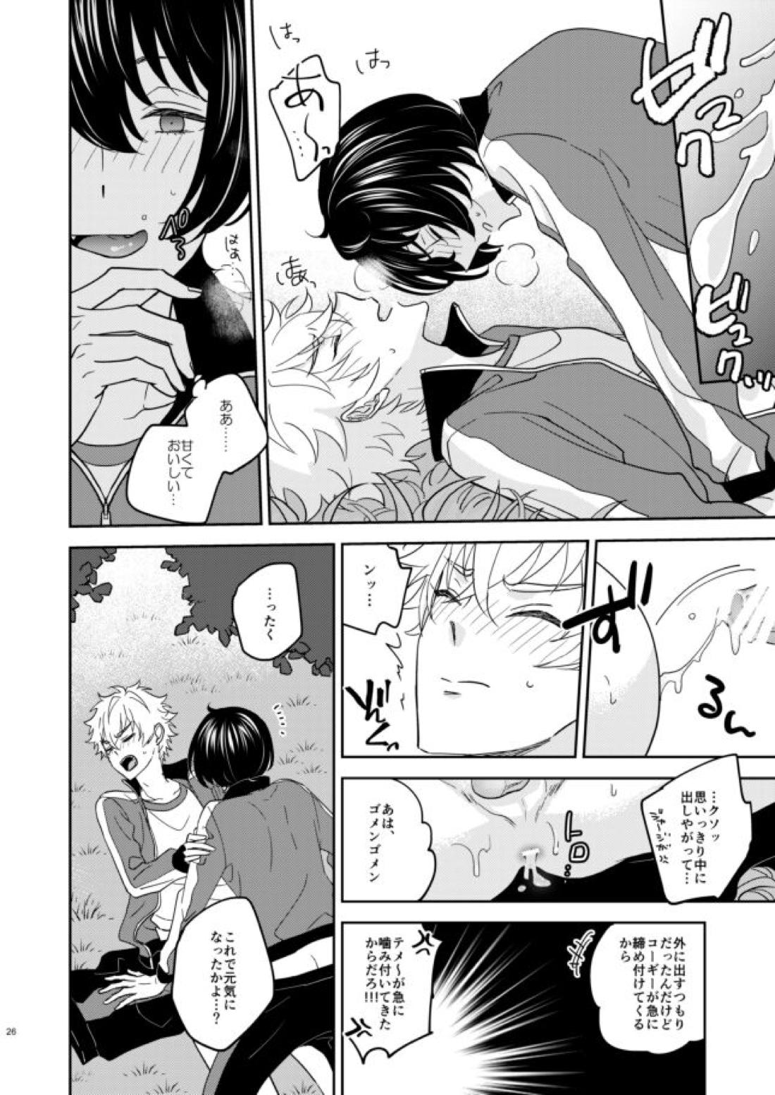欲の塊【あんさんぶるスターズ!/燐晃】 page 25