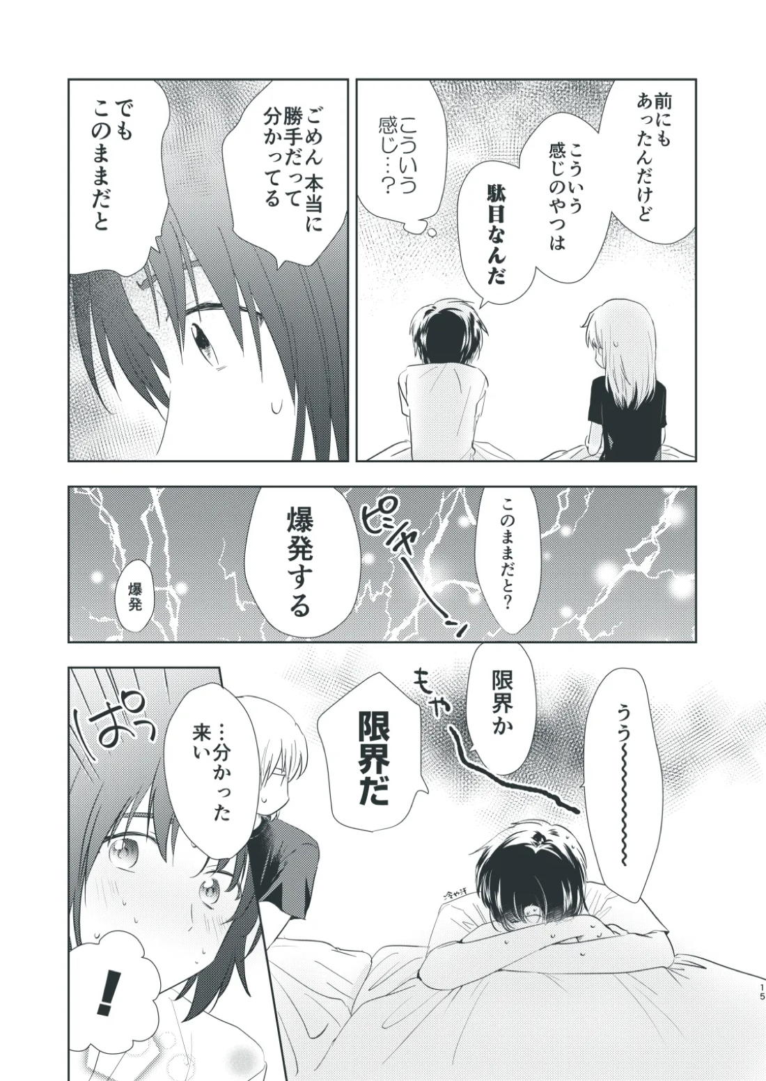 ぼくらのひそかな真夜中のできごと【蒼穹のファフナー/総一】 page 15