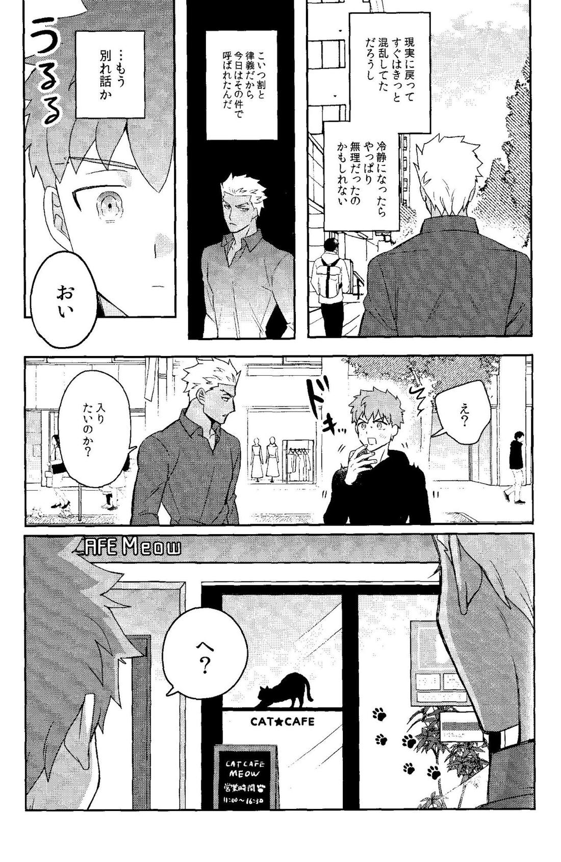 ふたりぼっちのワンダーランドアフター【Fateシリーズ/弓士】 page 17