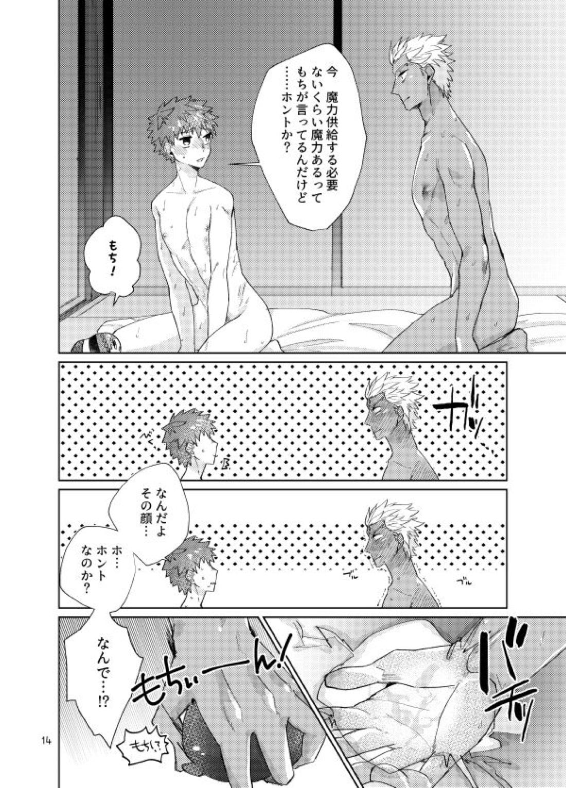 もちしろは衛宮士郎の使い魔である【Fateシリーズ/弓士】 page 12