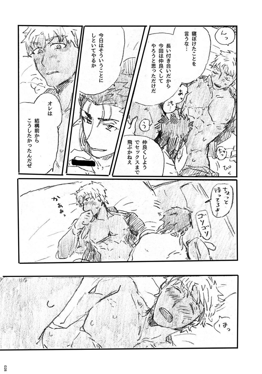 あの水平線の向こう【Fateシリーズ/槍弓】 page 27