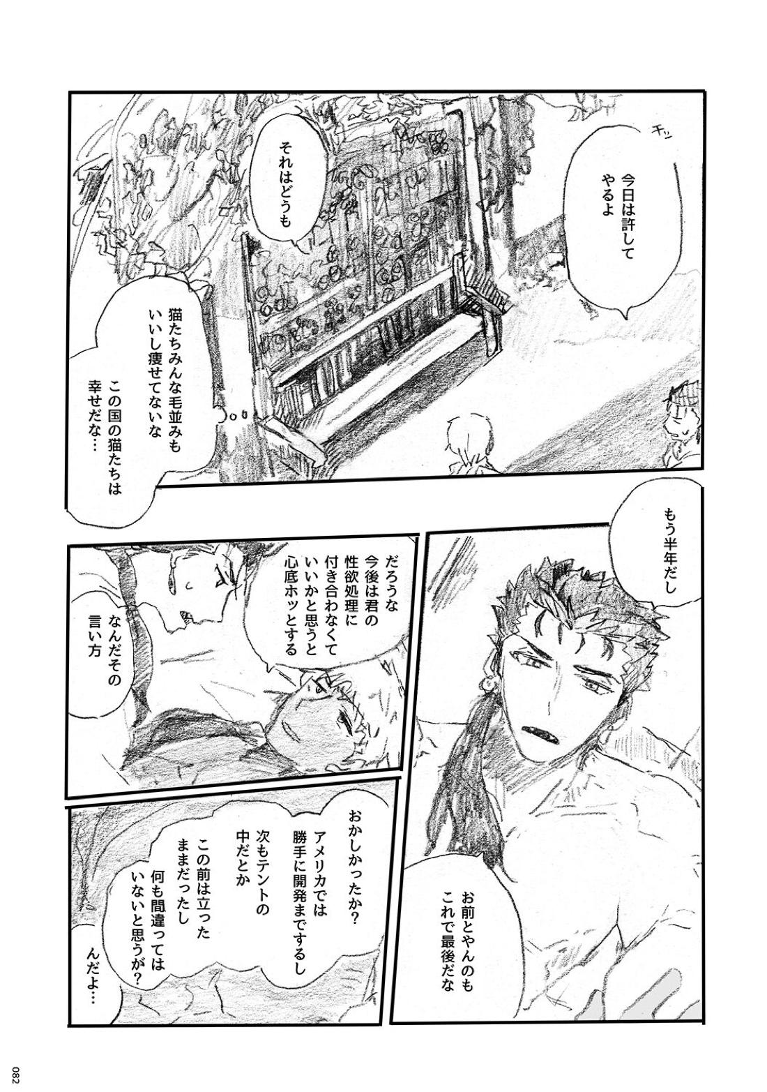 あの水平線の向こう【Fateシリーズ/槍弓】 page 81