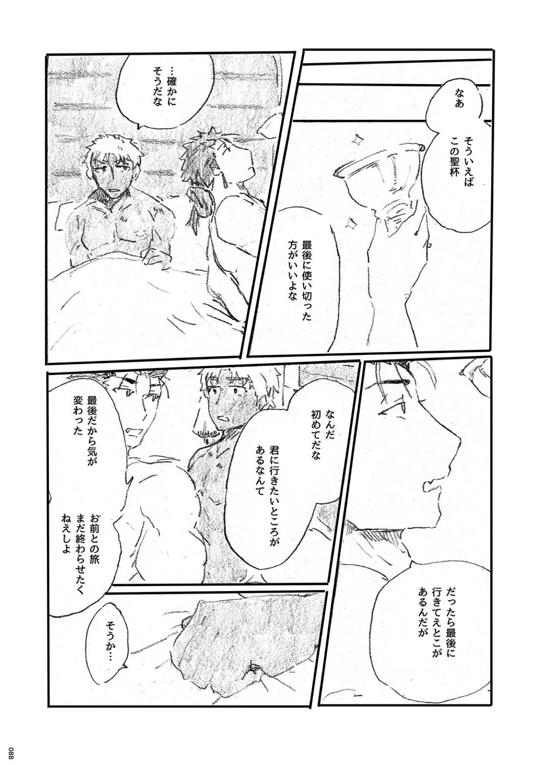 あの水平線の向こう【Fateシリーズ/槍弓】 page 87