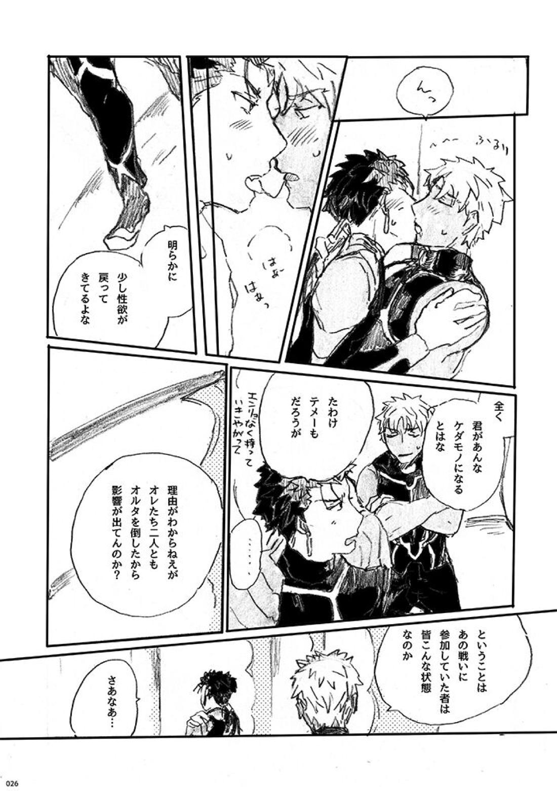 愛じゃ世界は救えない【Fateシリーズ/槍弓】 page 25