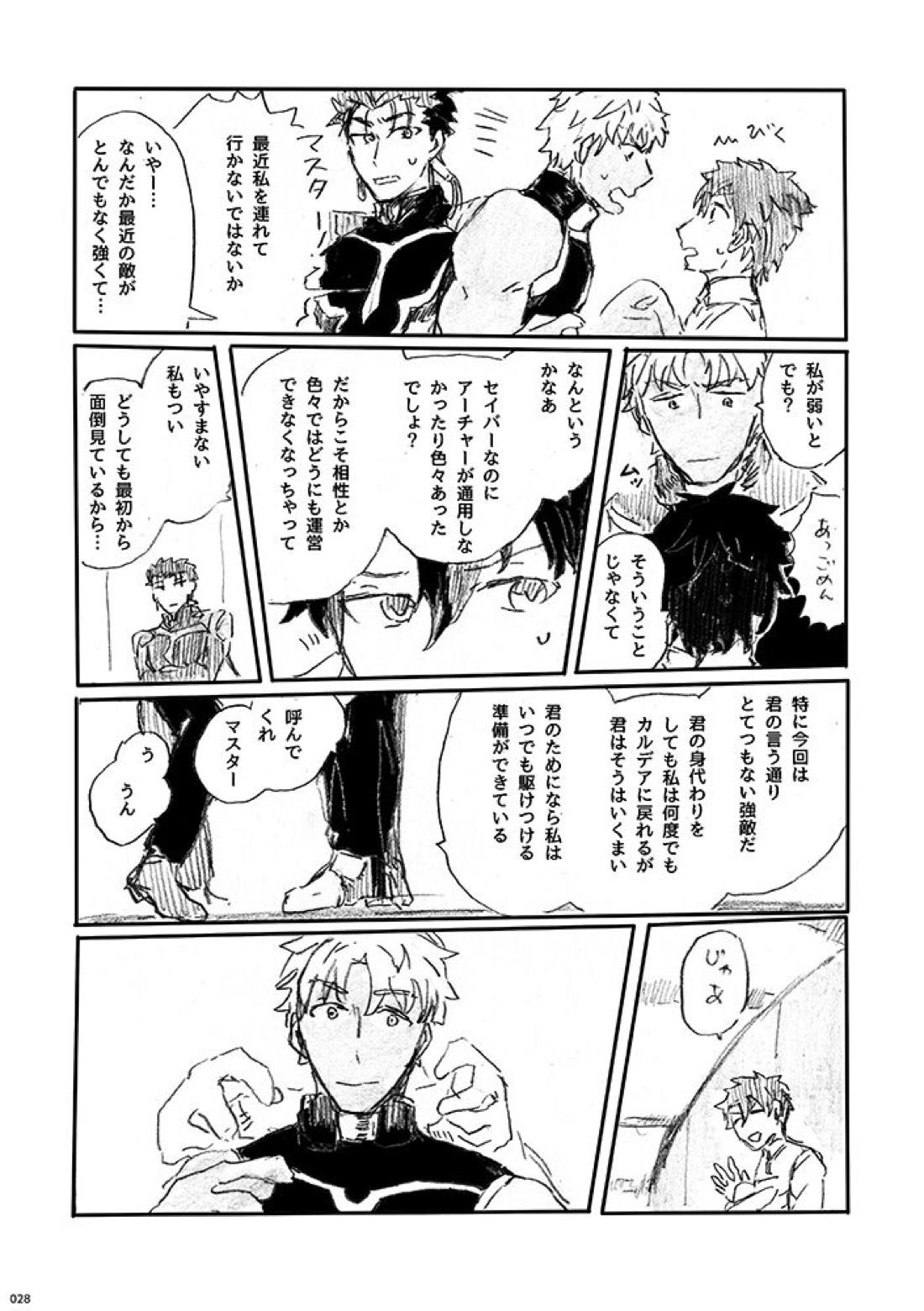 愛じゃ世界は救えない【Fateシリーズ/槍弓】 page 27