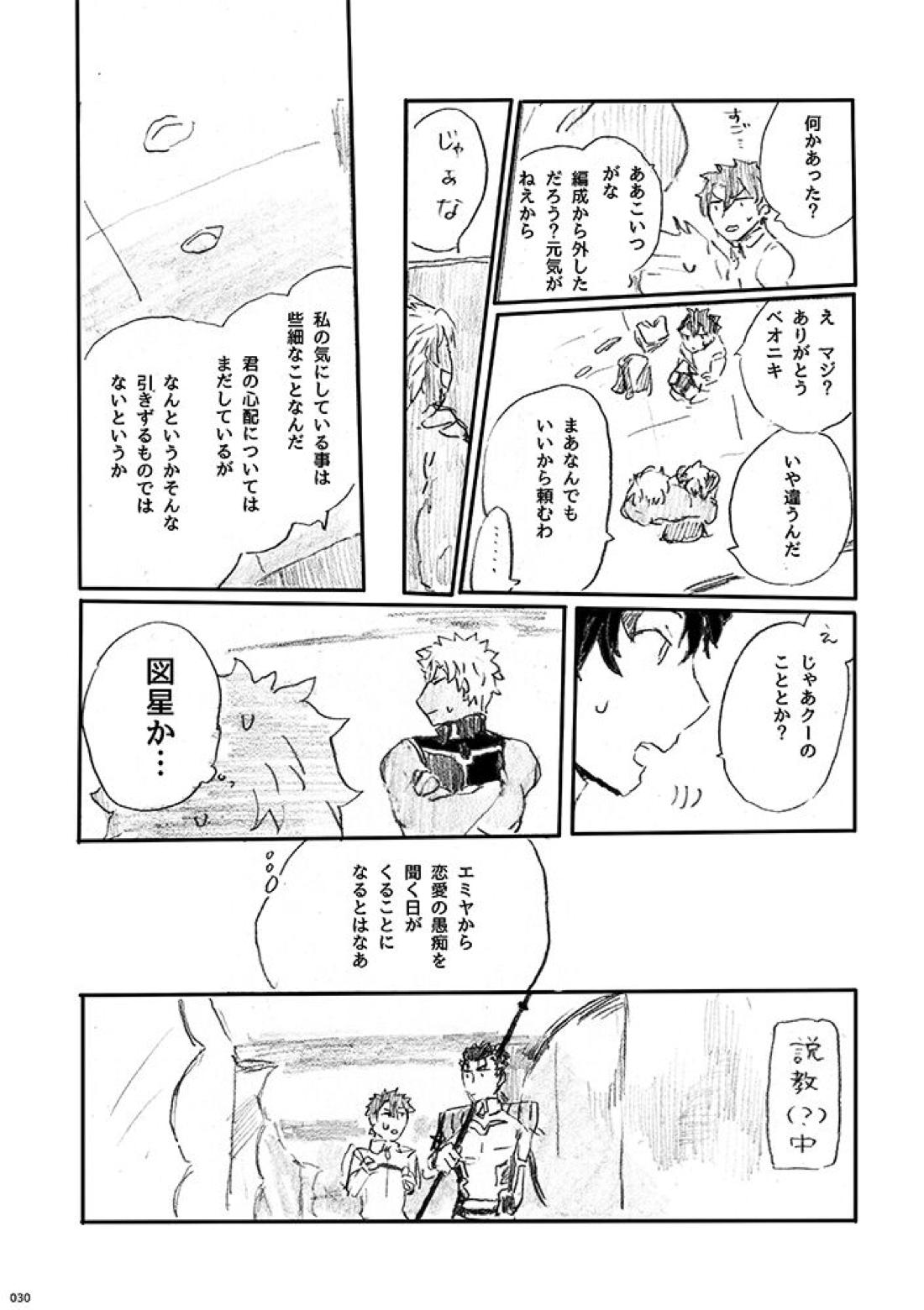愛じゃ世界は救えない【Fateシリーズ/槍弓】 page 29