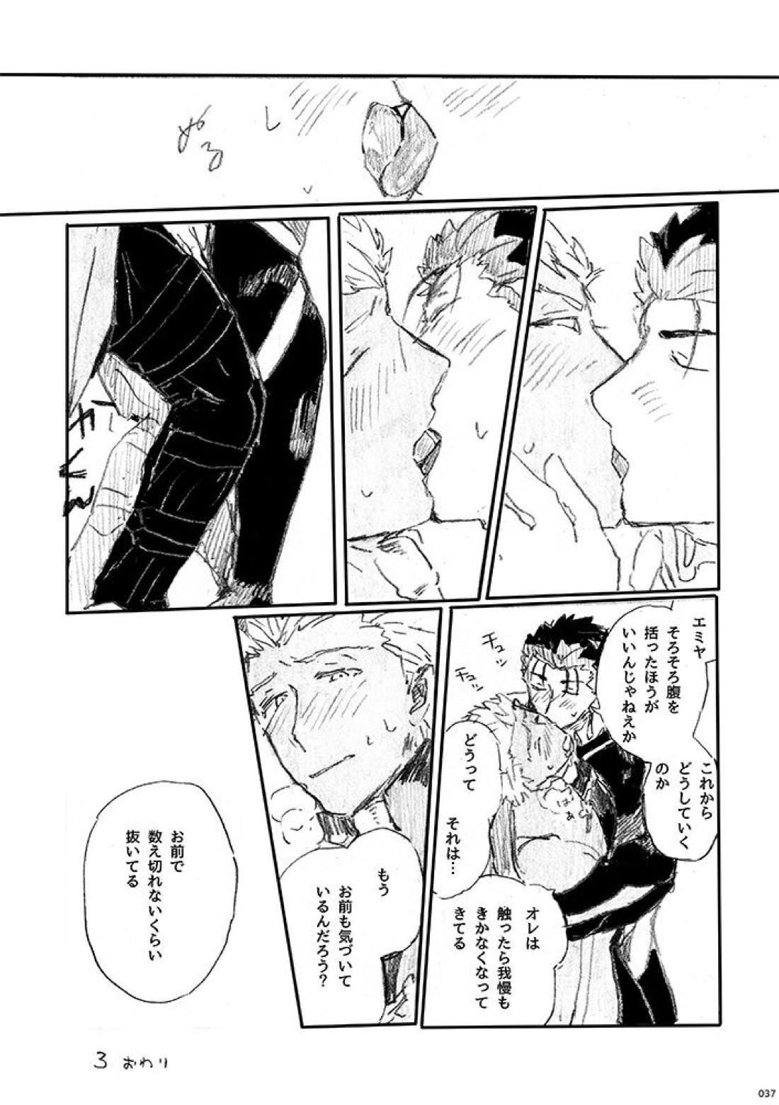 愛じゃ世界は救えない【Fateシリーズ/槍弓】 page 36