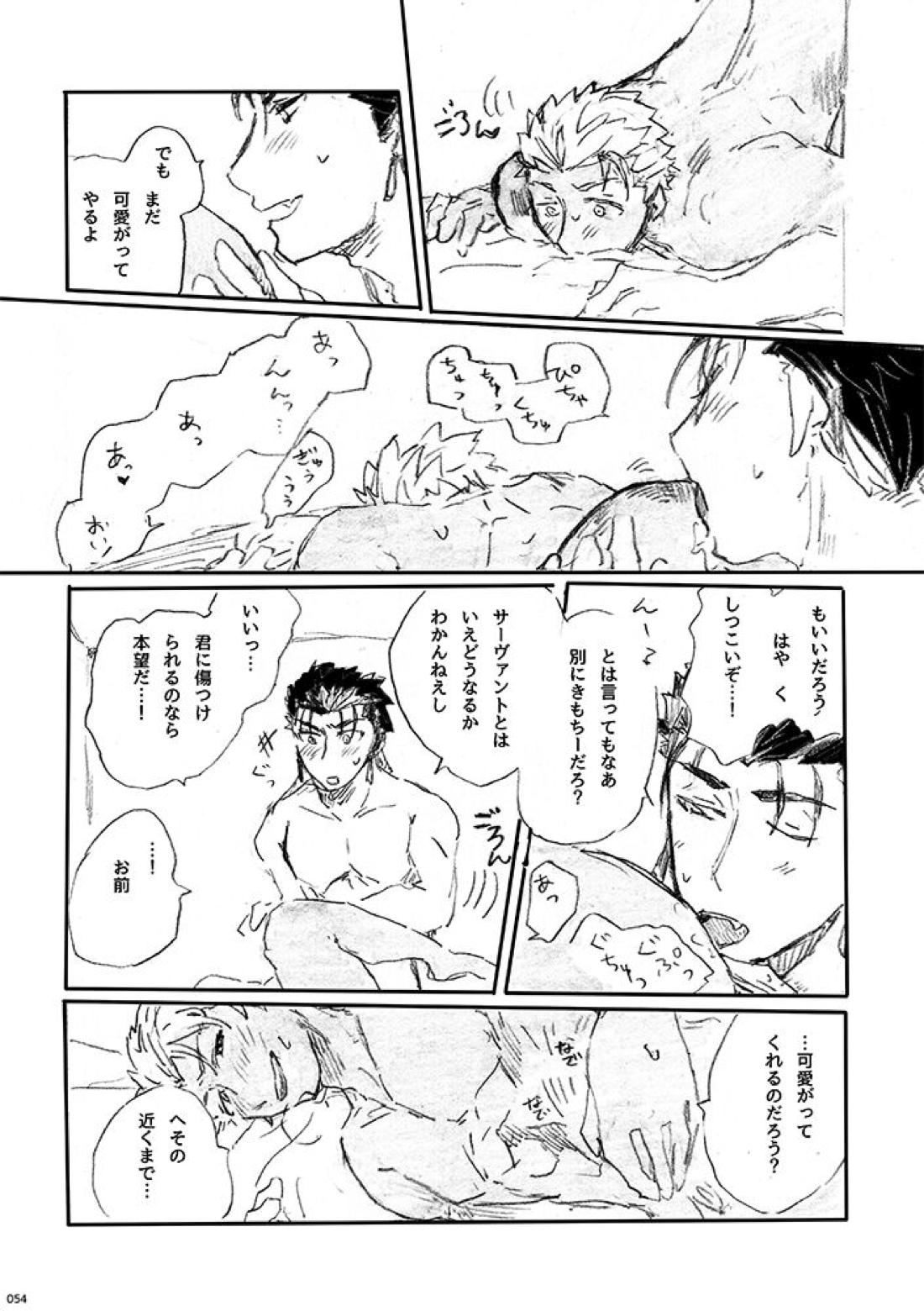 愛じゃ世界は救えない【Fateシリーズ/槍弓】 page 53
