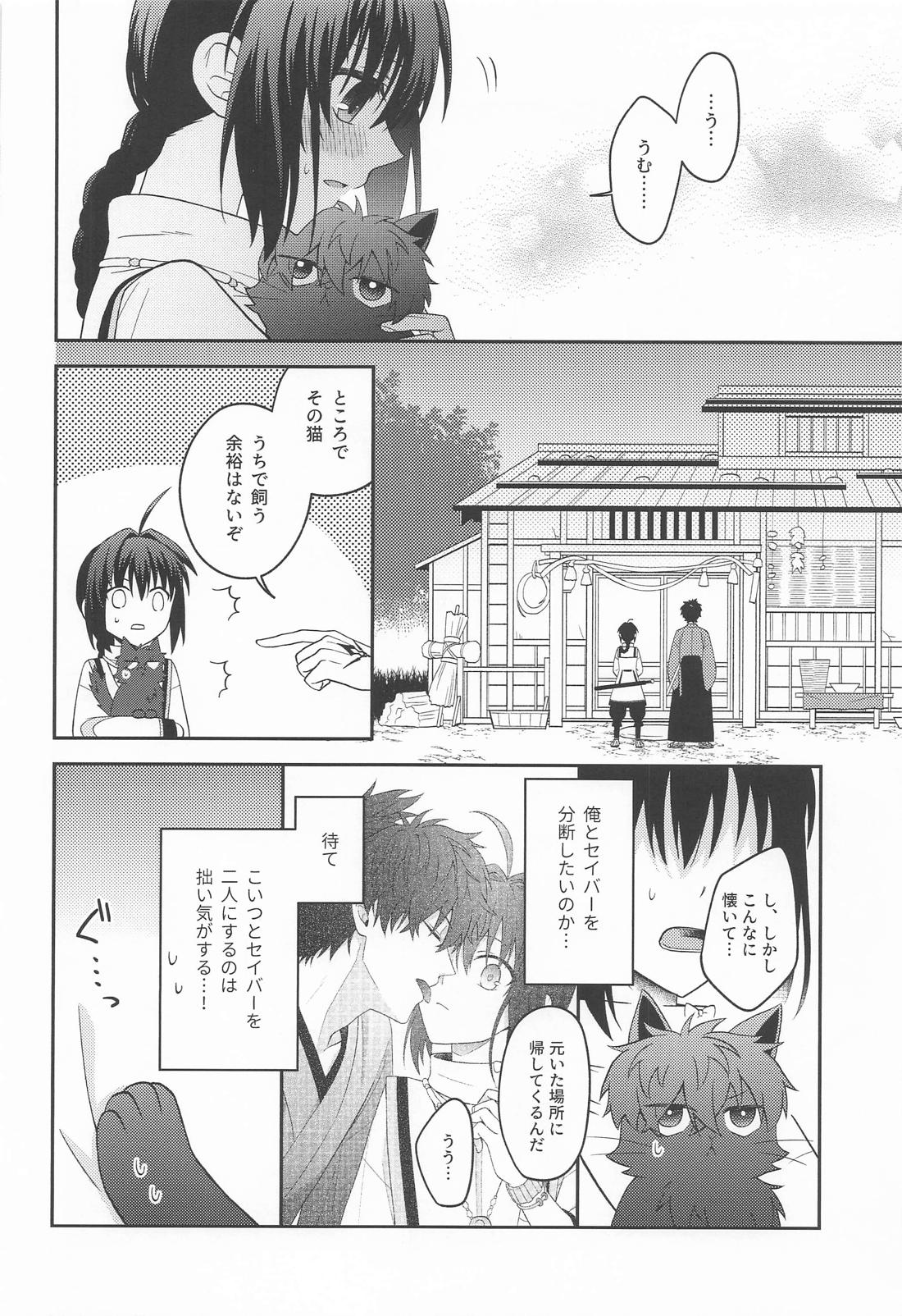 猫と影法師【Fateシリーズ/伊剣】 page 13
