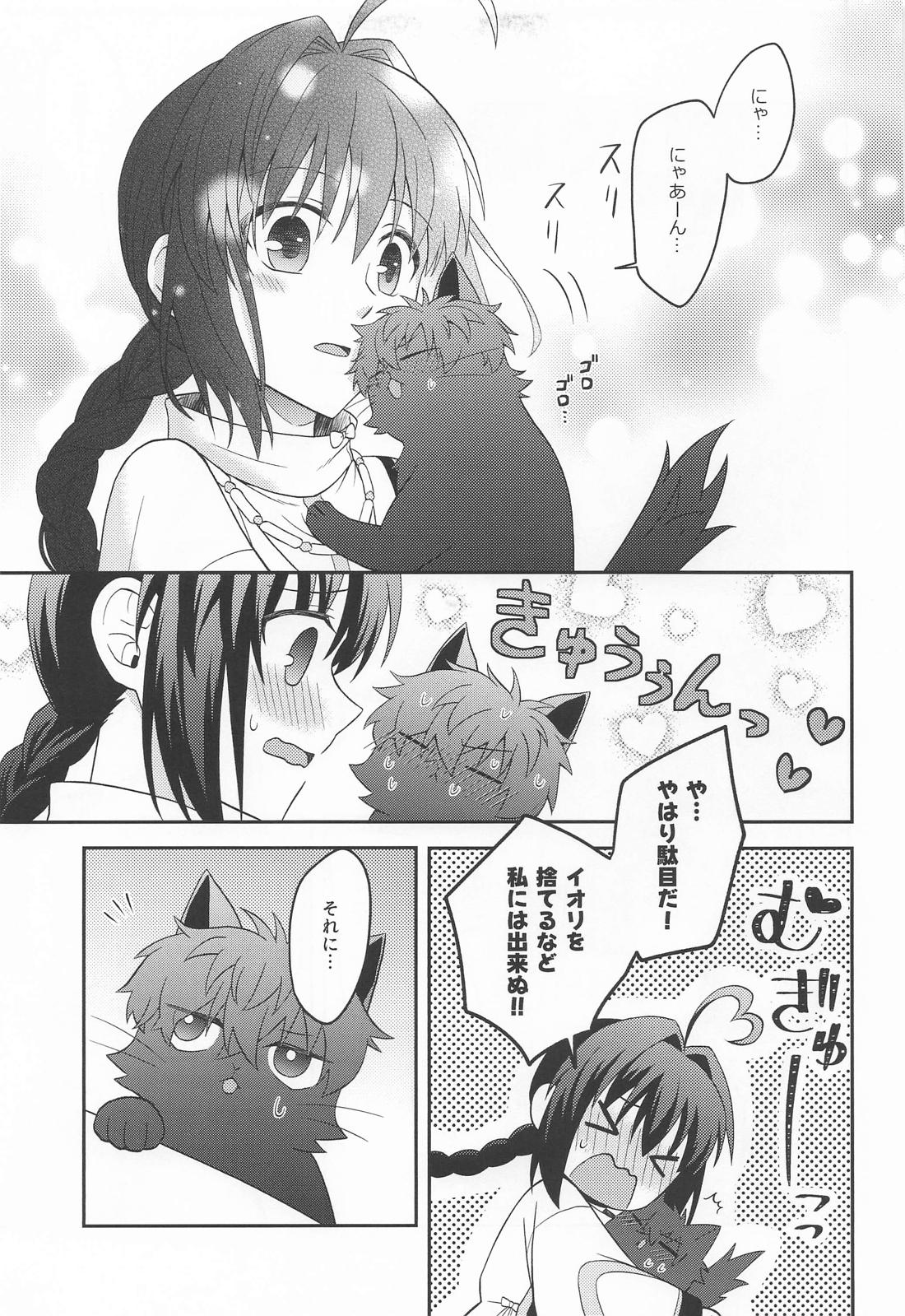 猫と影法師【Fateシリーズ/伊剣】 page 14