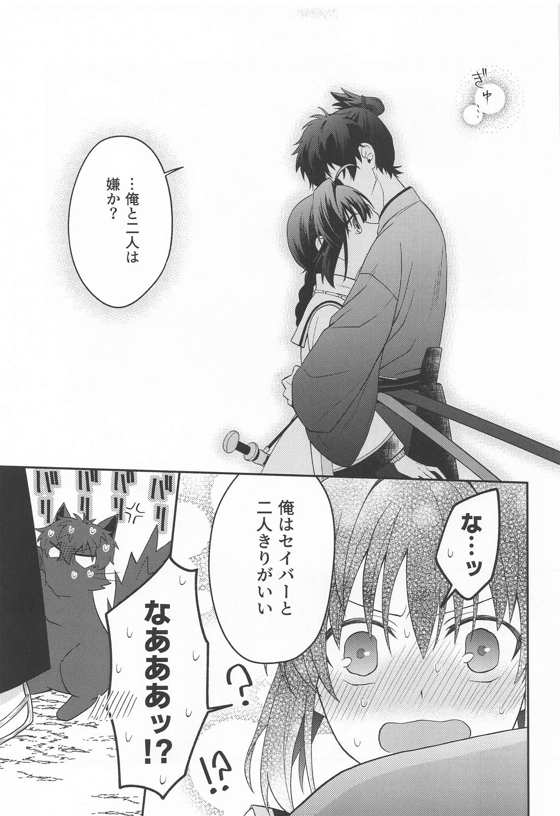 猫と影法師【Fateシリーズ/伊剣】 page 16
