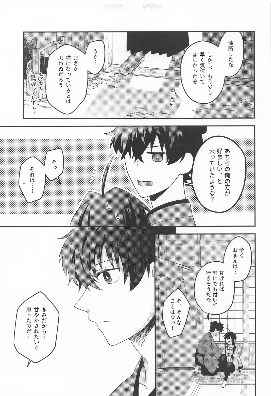 猫と影法師【Fateシリーズ/伊剣】 page 24