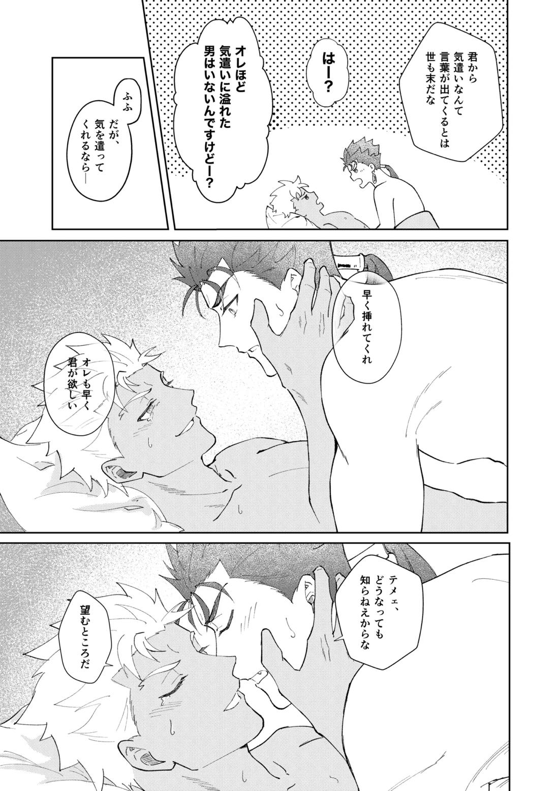 恋人になりたい【Fateシリーズ/槍弓】 page 27