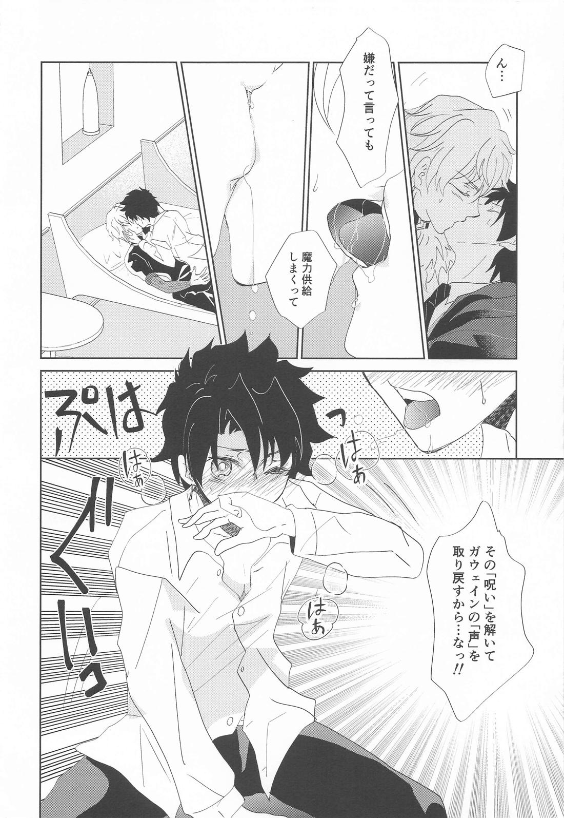 沈黙の声が響いている【Fateシリーズ/ガウェぐだ♂】 page 17