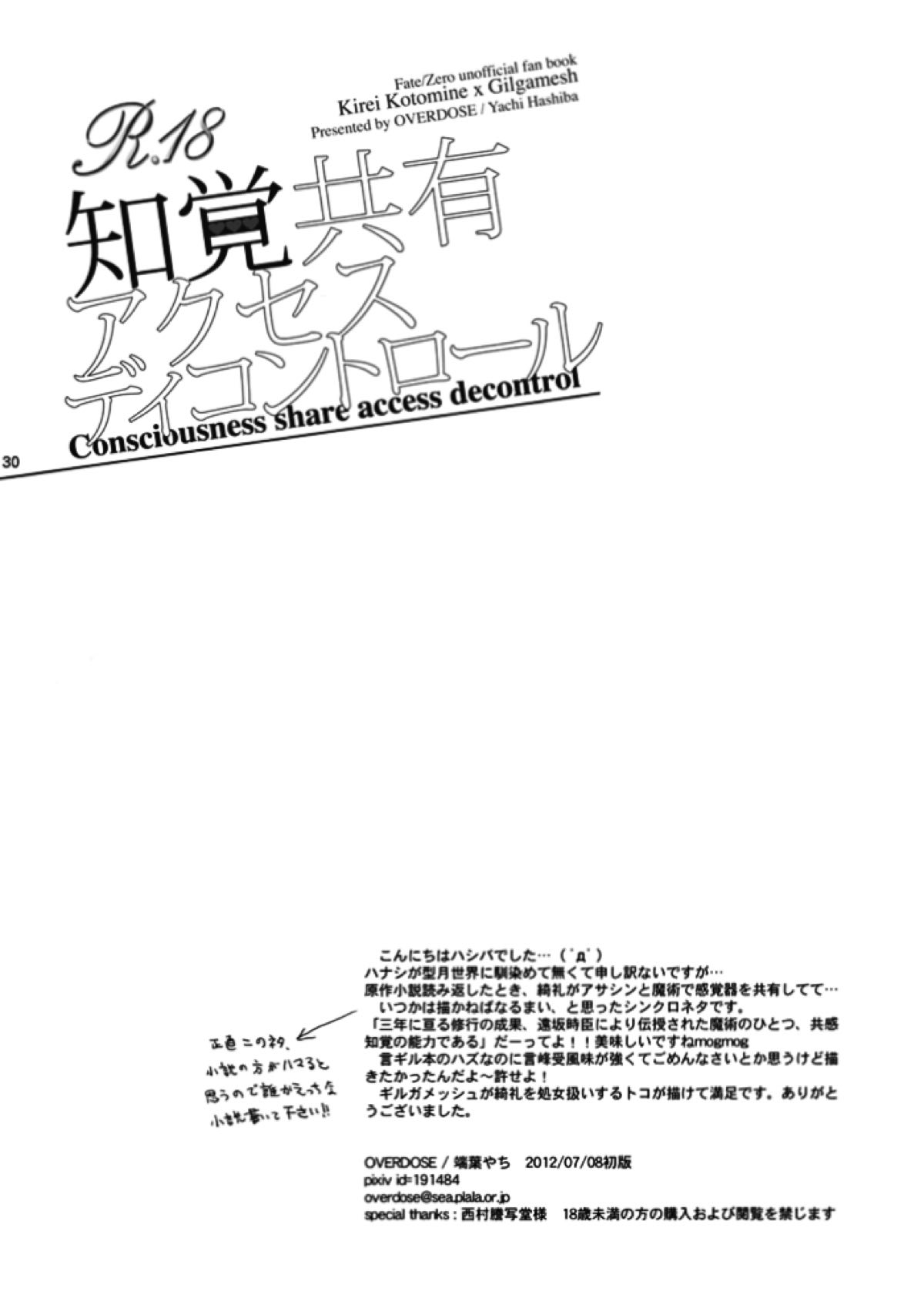 知覚共有アクセスディコントロール【Fateシリーズ/言ギル】 page 29