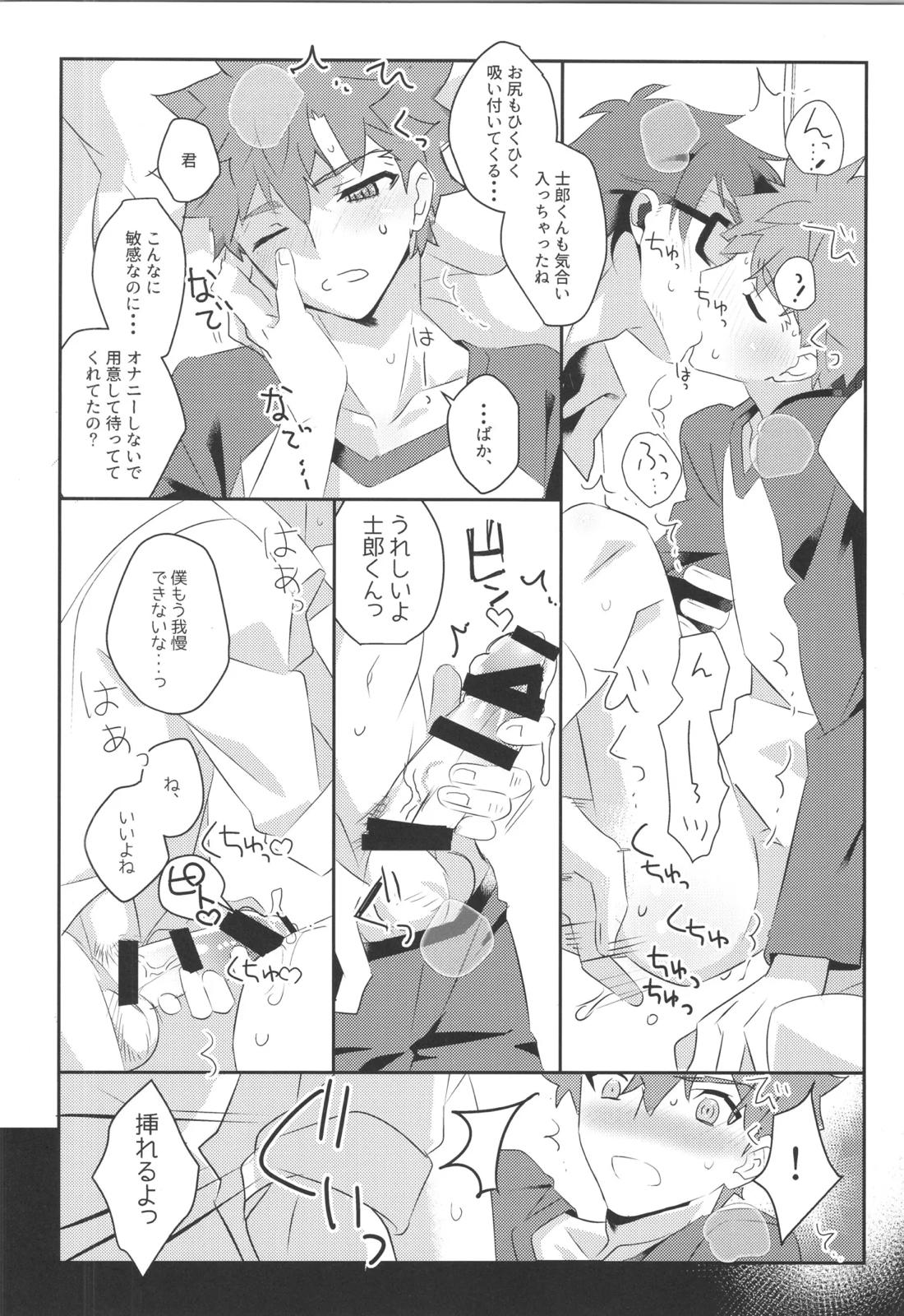 衛宮士郎MANIAX-1ST【Fateシリーズ/モブ士郎】 page 11