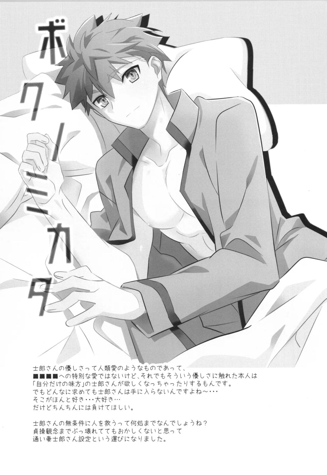 衛宮士郎MANIAX-1ST【Fateシリーズ/モブ士郎】 page 32