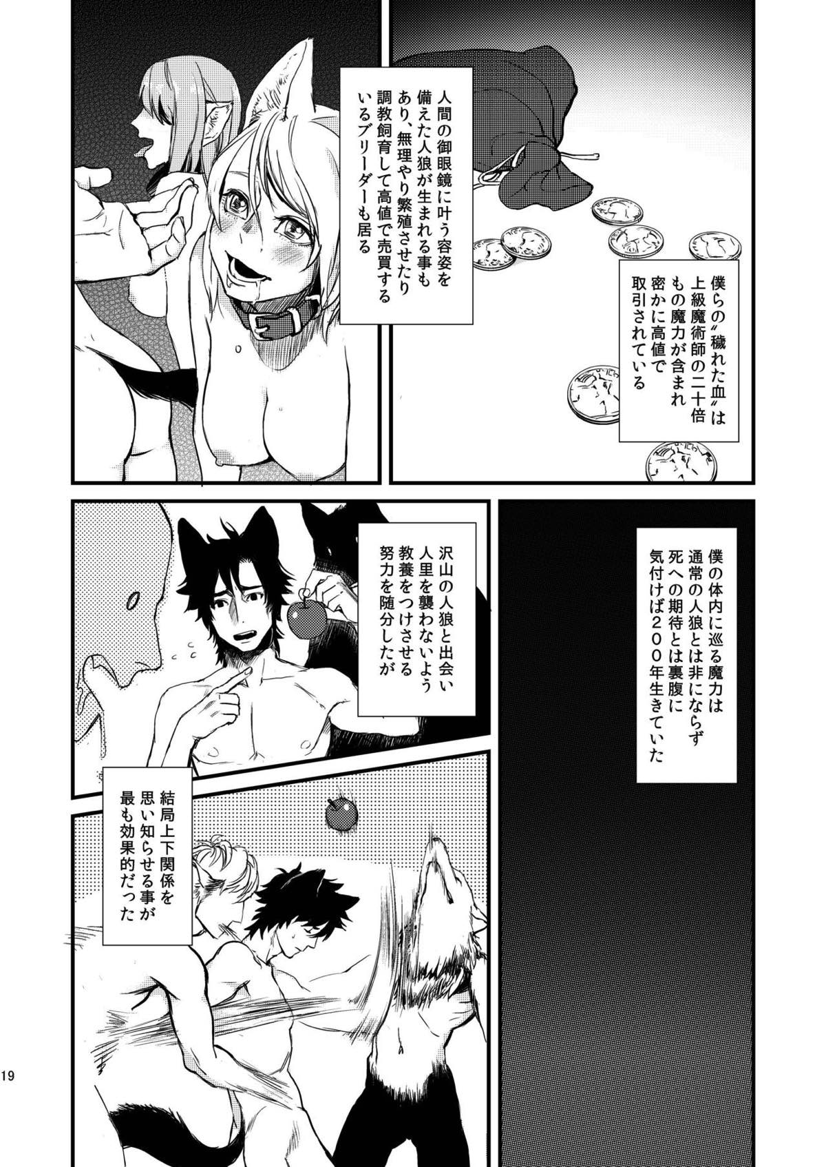 Fat::Wolf 2【Fateシリーズ/言切】 page 18