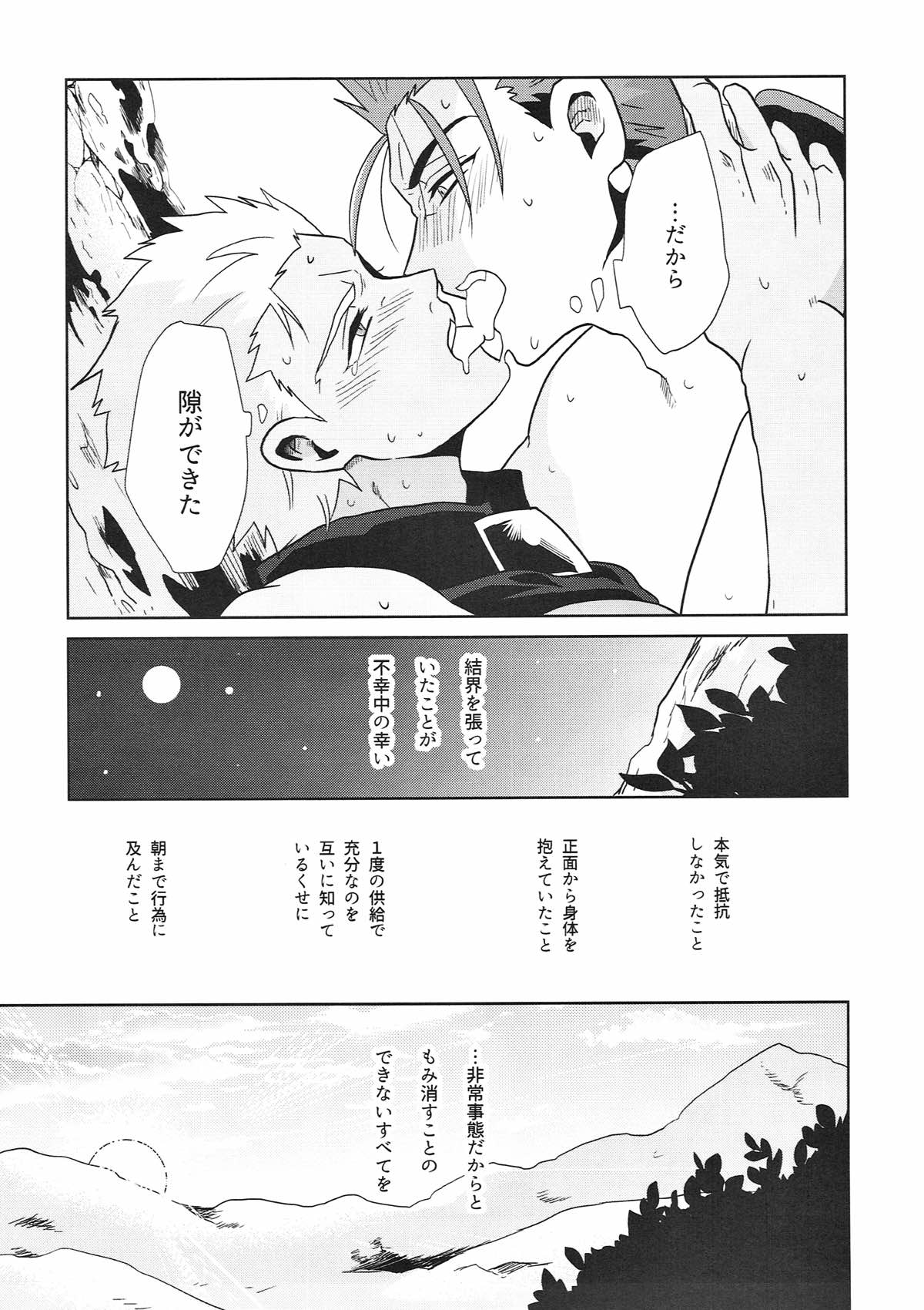 いやよいやよもすきのうち【Fateシリーズ/槍弓】 page 26