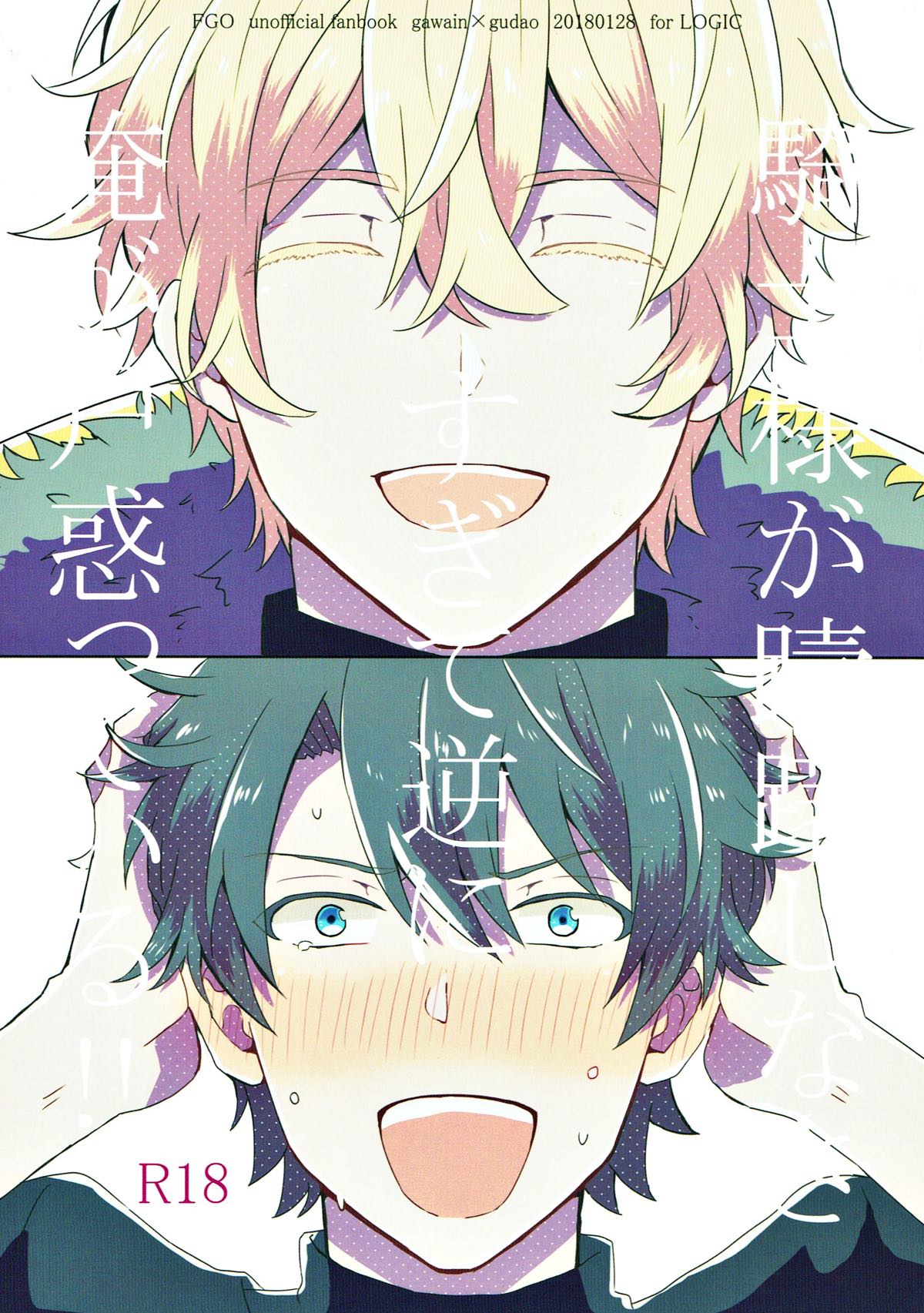 BL manga "騎士様が躊躇しなさすぎて逆に俺が戸惑っている!!【Fateシリーズ/ガヴェぐだ♂】" cover image