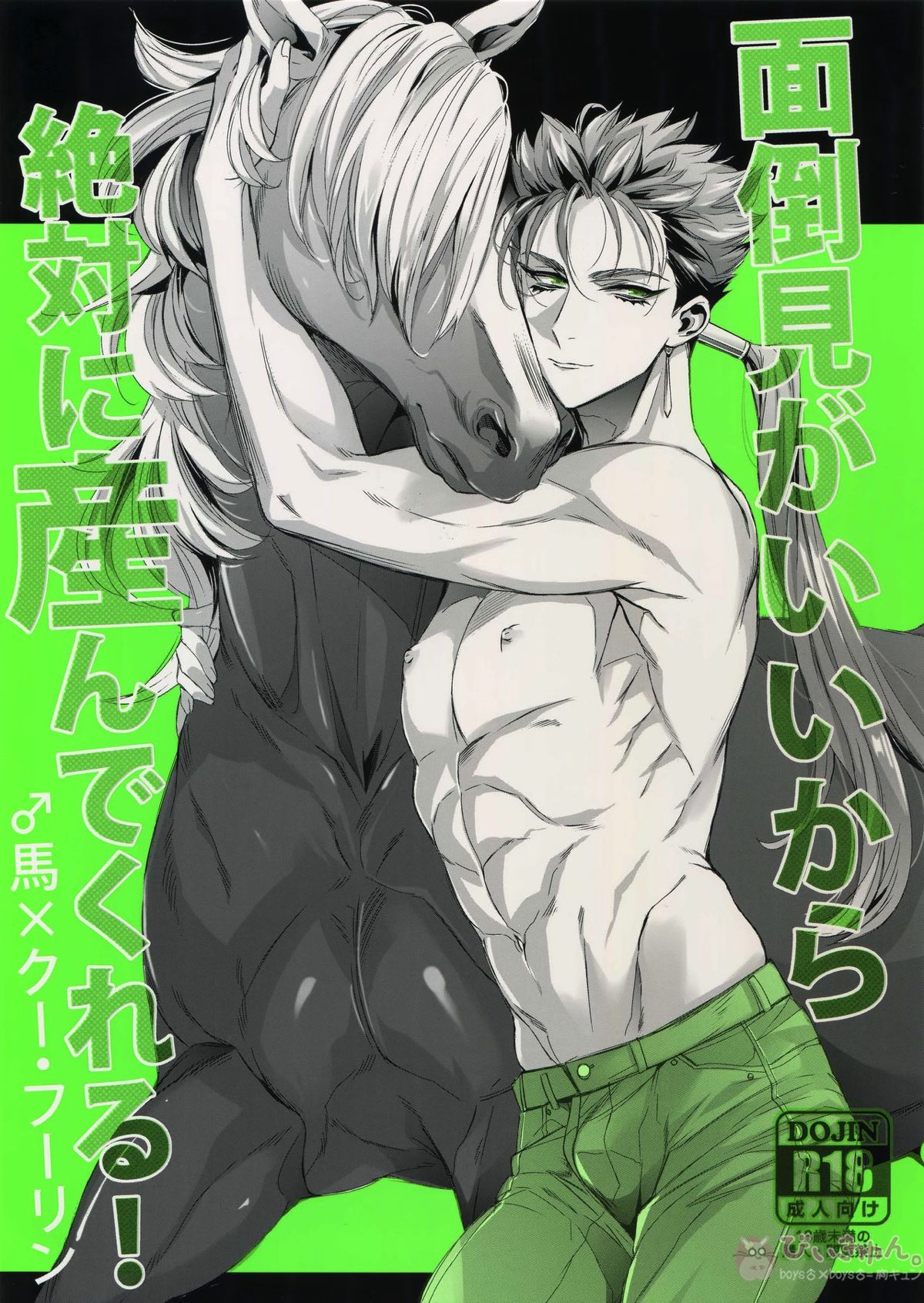 BL manga "面倒見がいいから絶対に産んでくれる【Fateシリーズ/馬×クー・フーリン(ランサー)】" cover image