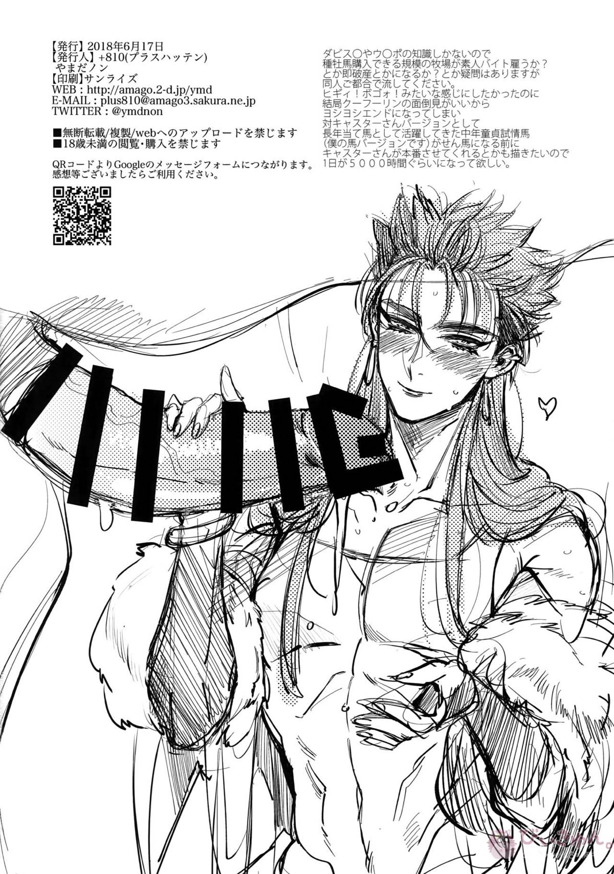 面倒見がいいから絶対に産んでくれる【Fateシリーズ/馬×クー・フーリン(ランサー)】 page 17