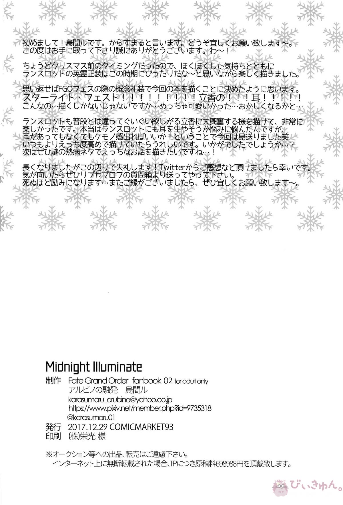 Midnight Illuminate【Fateシリーズ/ランぐだ♂】 page 27