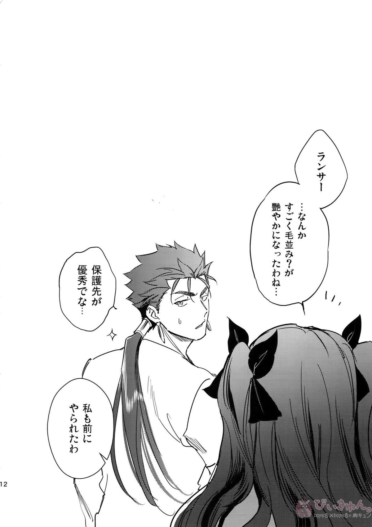 猫派、犬を拾う。【Fateシリーズ/槍弓】 page 11
