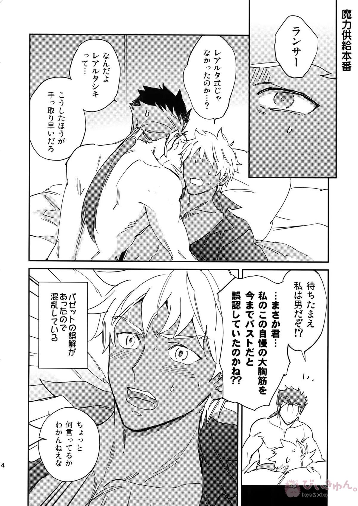 猫派、犬を拾う。【Fateシリーズ/槍弓】 page 13
