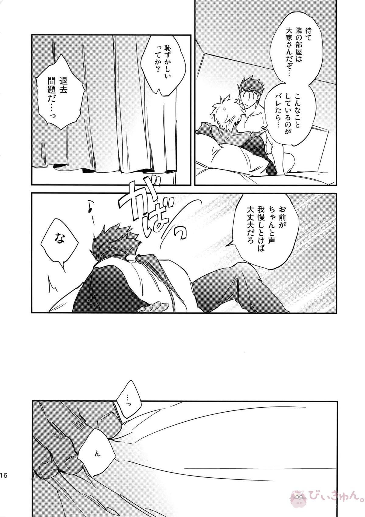 猫派、犬を拾う。【Fateシリーズ/槍弓】 page 15