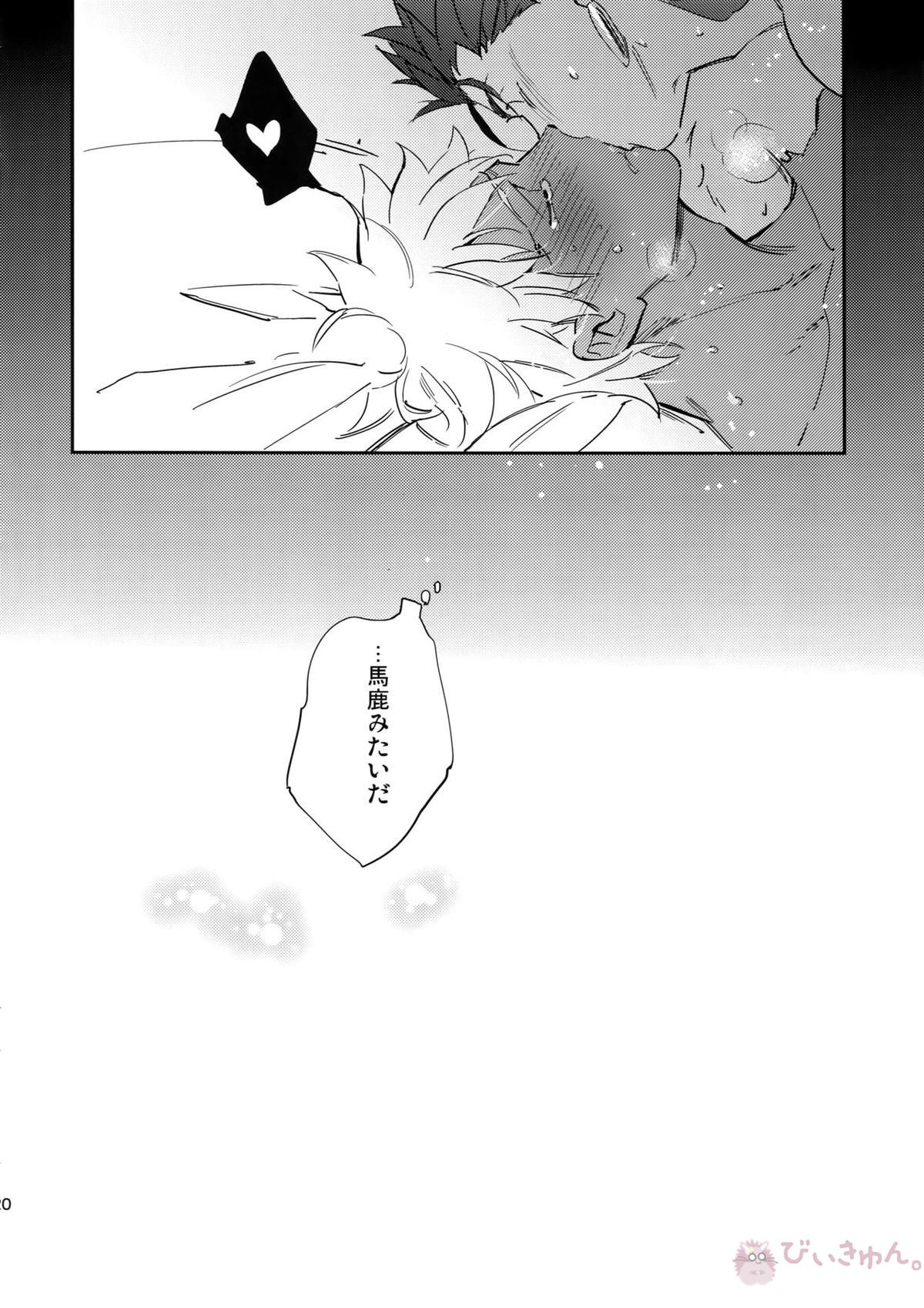 猫派、犬を拾う。【Fateシリーズ/槍弓】 page 19
