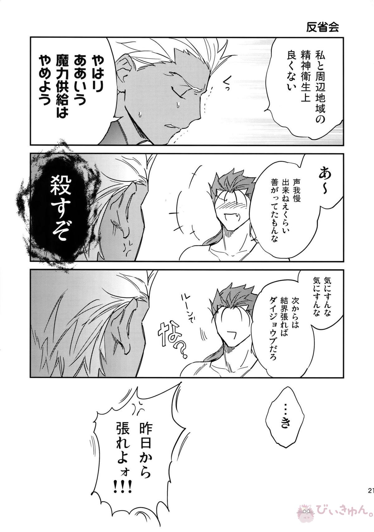 猫派、犬を拾う。【Fateシリーズ/槍弓】 page 20