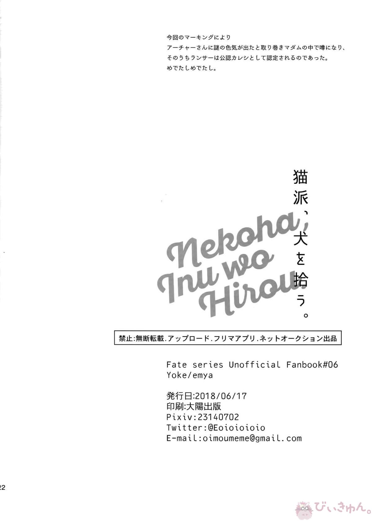 猫派、犬を拾う。【Fateシリーズ/槍弓】 page 21