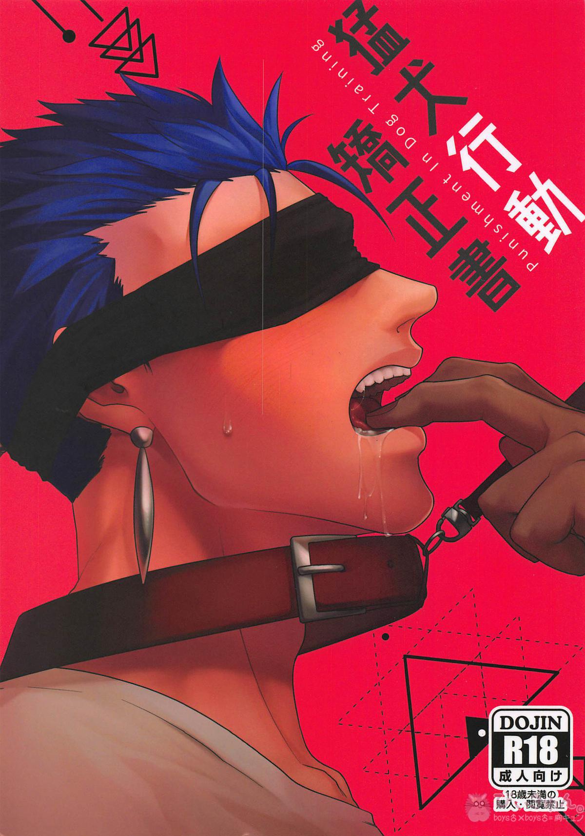 Recommended BL manga "猛犬行動矯正書【Fateシリーズ/弓槍】" cover image