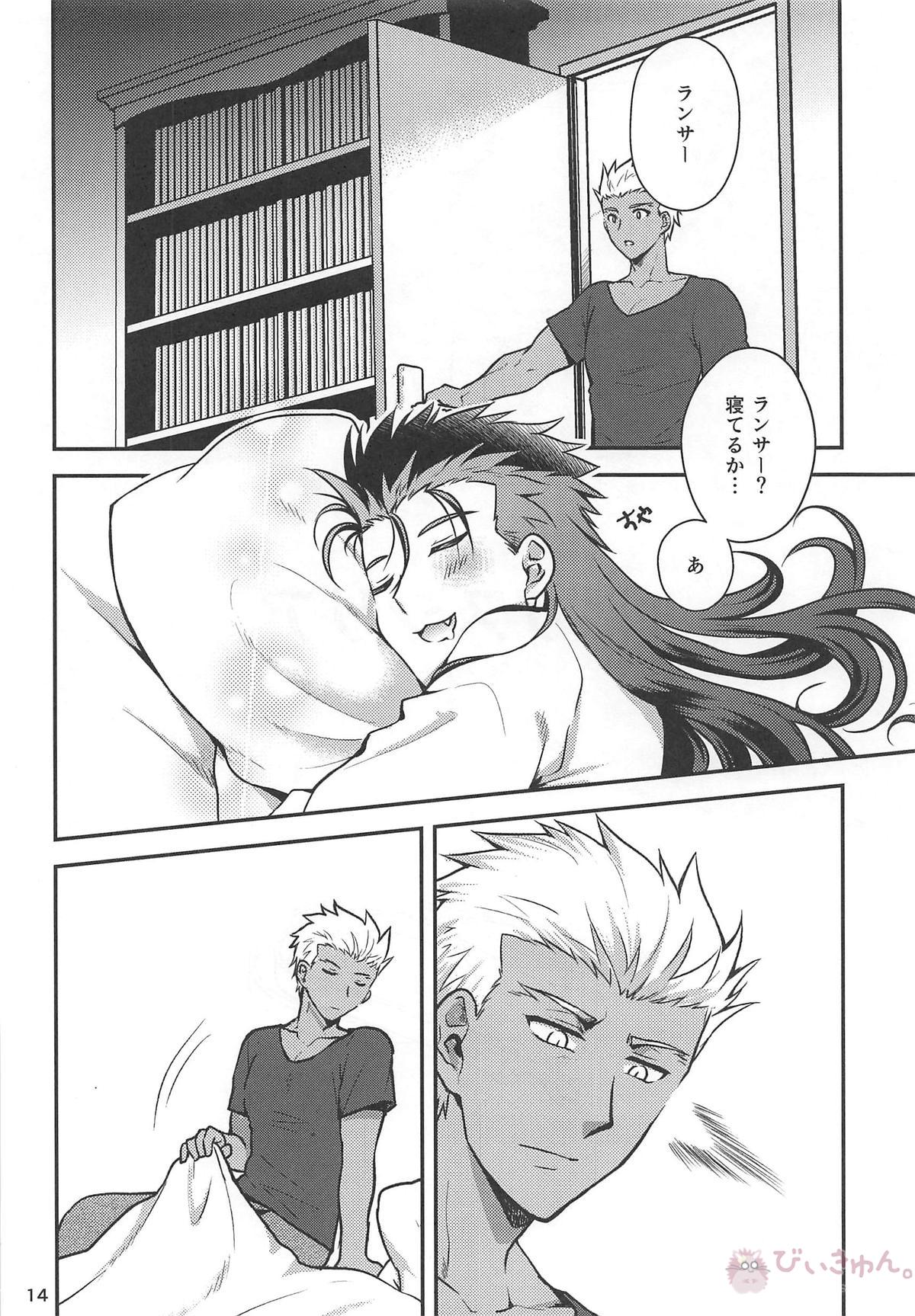 猛犬行動矯正書【Fateシリーズ/弓槍】 page 15