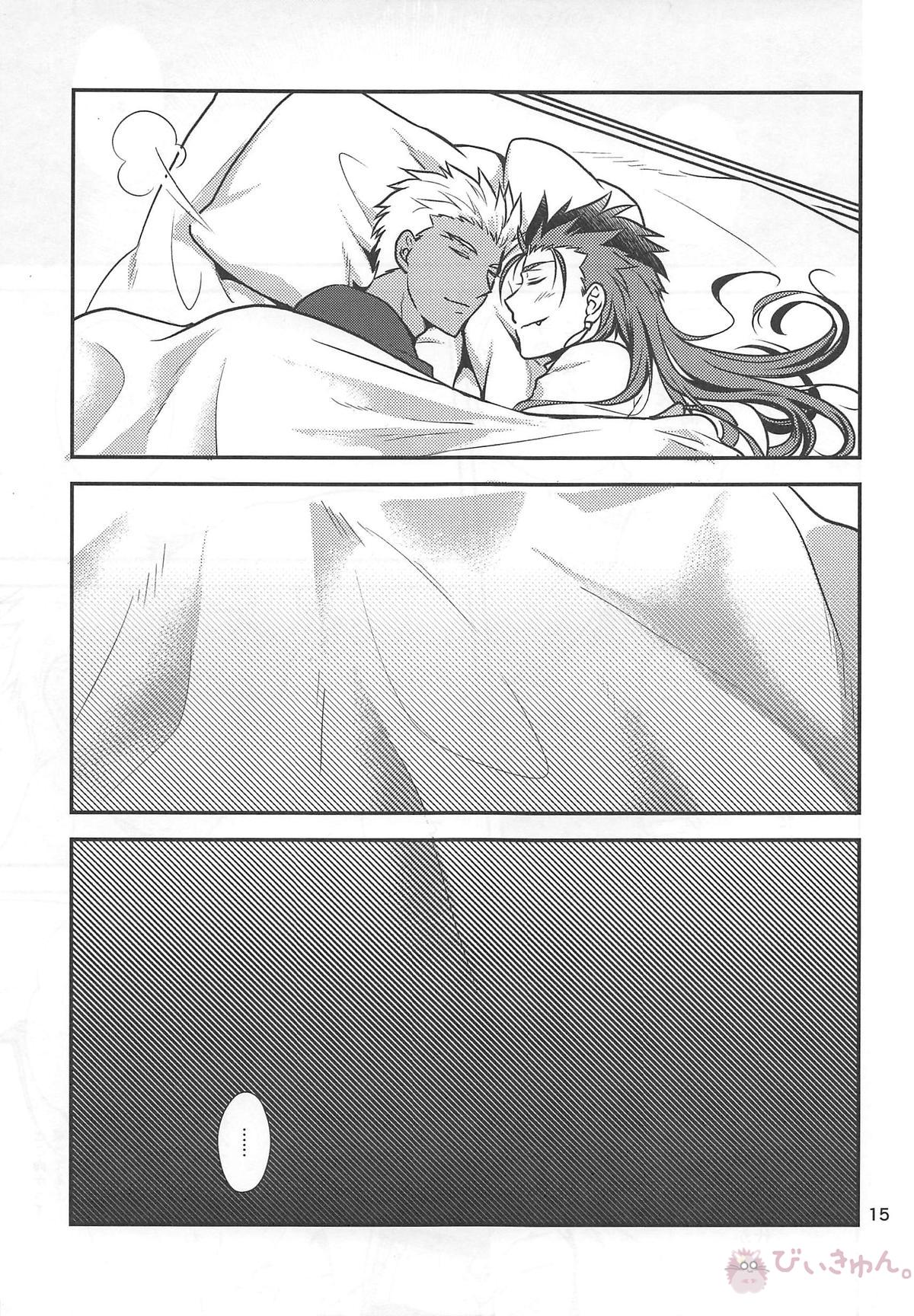猛犬行動矯正書【Fateシリーズ/弓槍】 page 16
