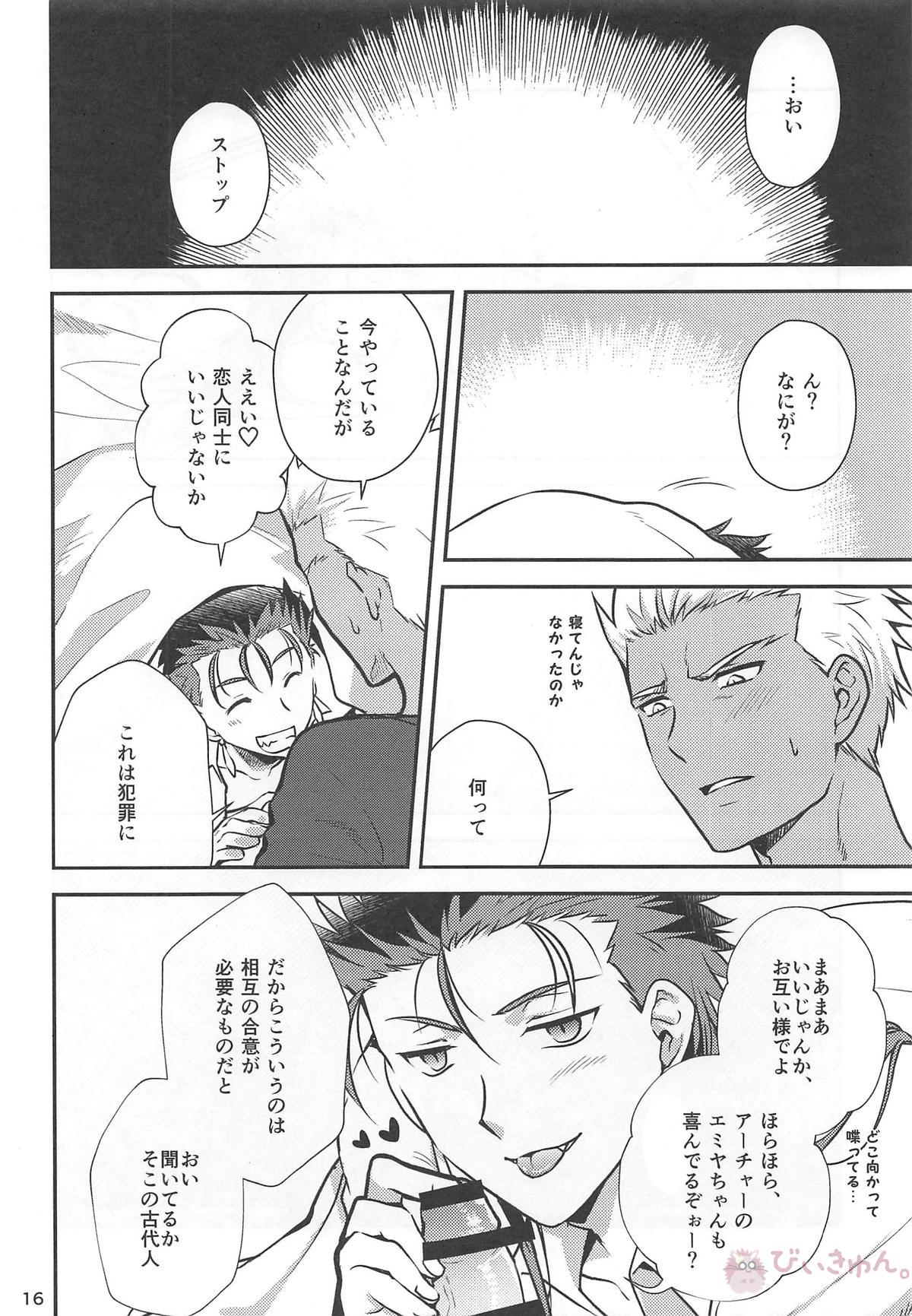 猛犬行動矯正書【Fateシリーズ/弓槍】 page 17