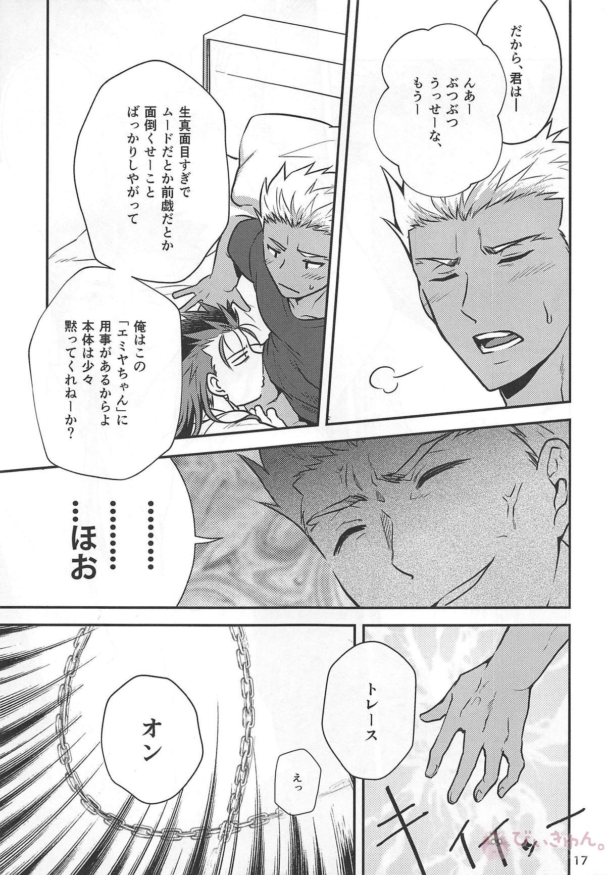 猛犬行動矯正書【Fateシリーズ/弓槍】 page 18