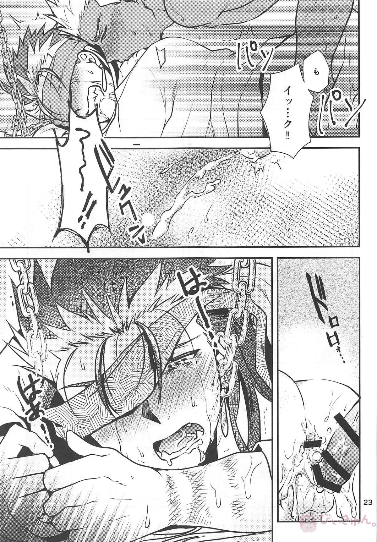 猛犬行動矯正書【Fateシリーズ/弓槍】 page 24